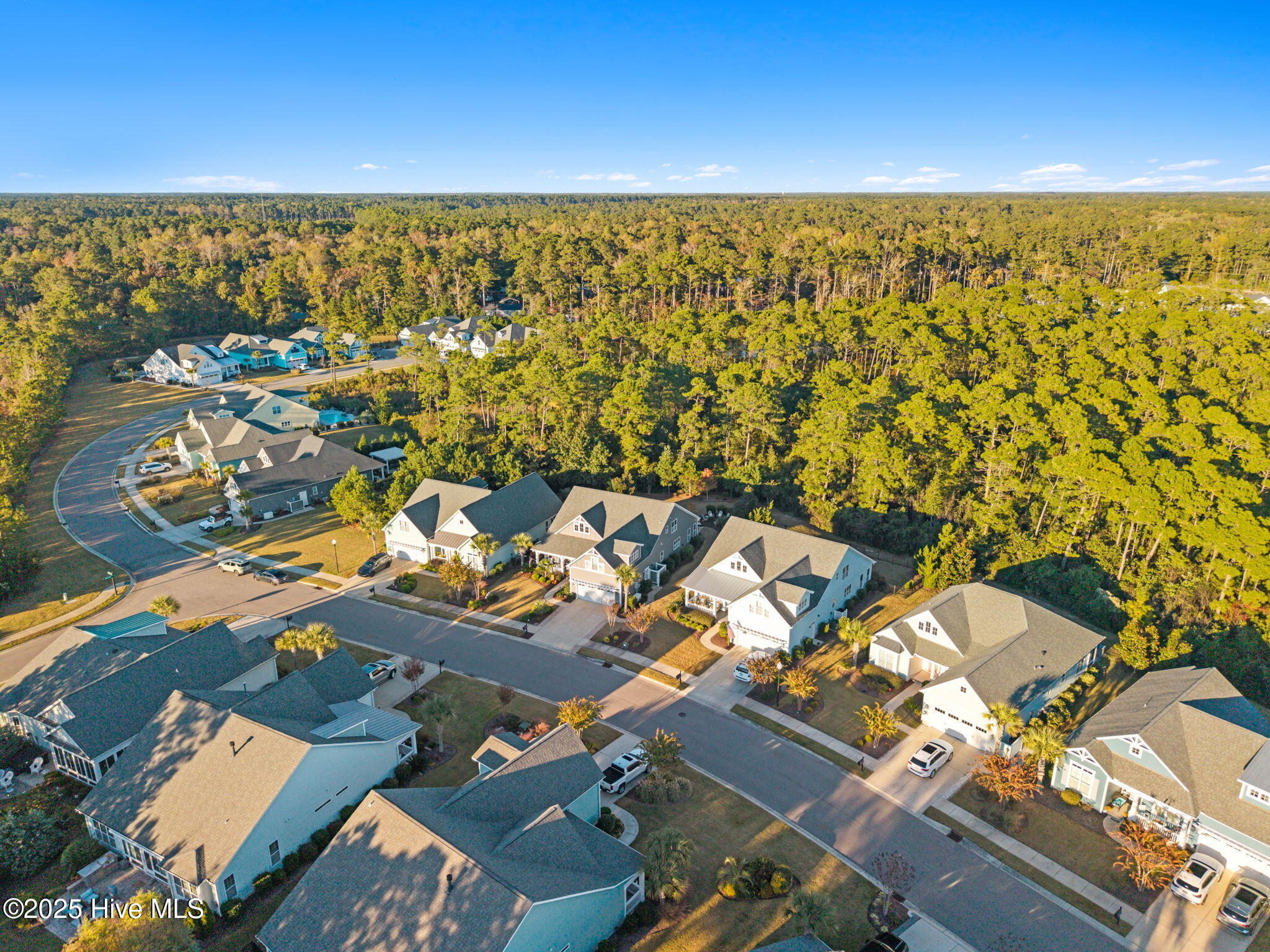 100539203 | Photo 60