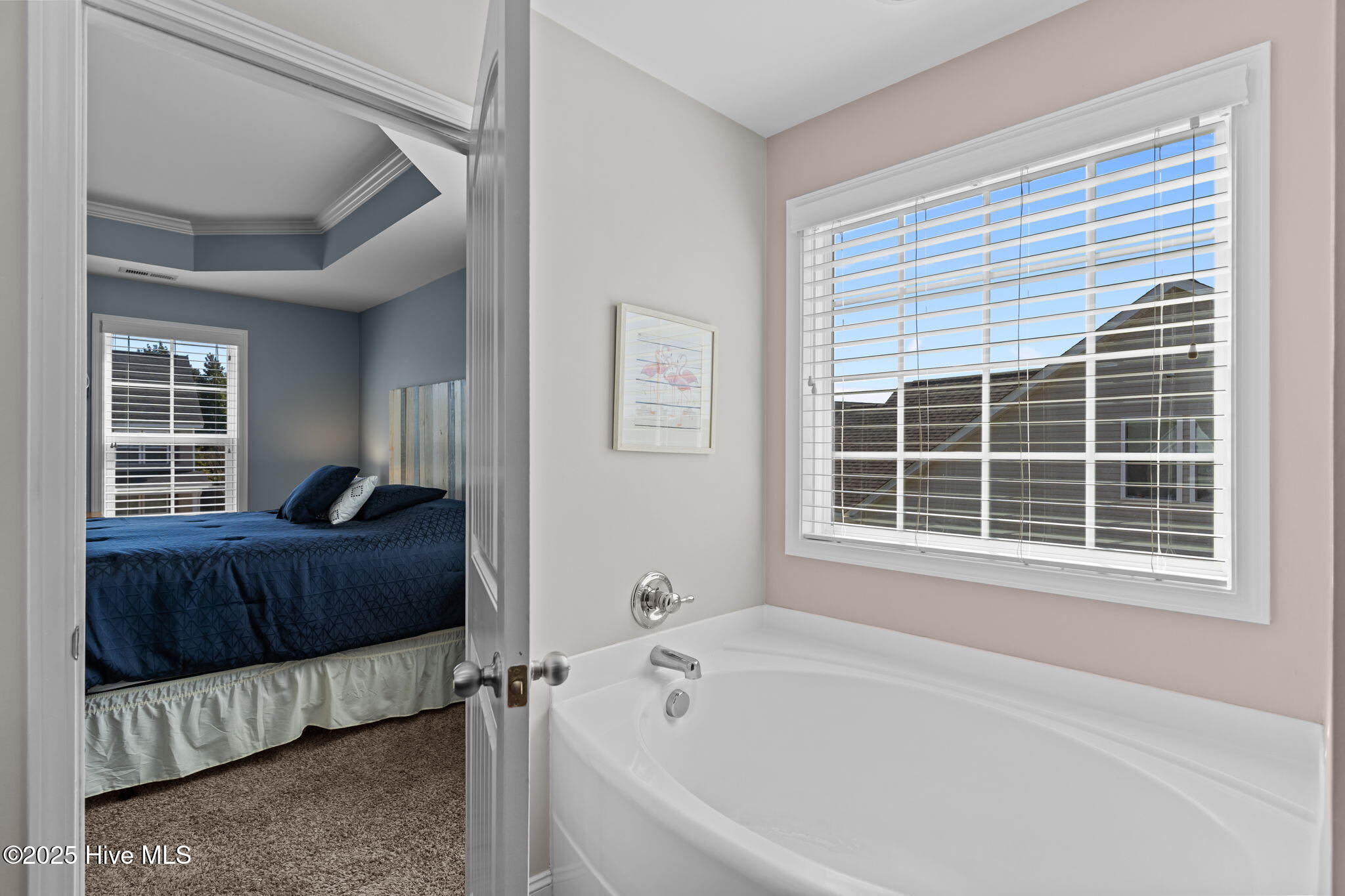 100537762 | Photo 30