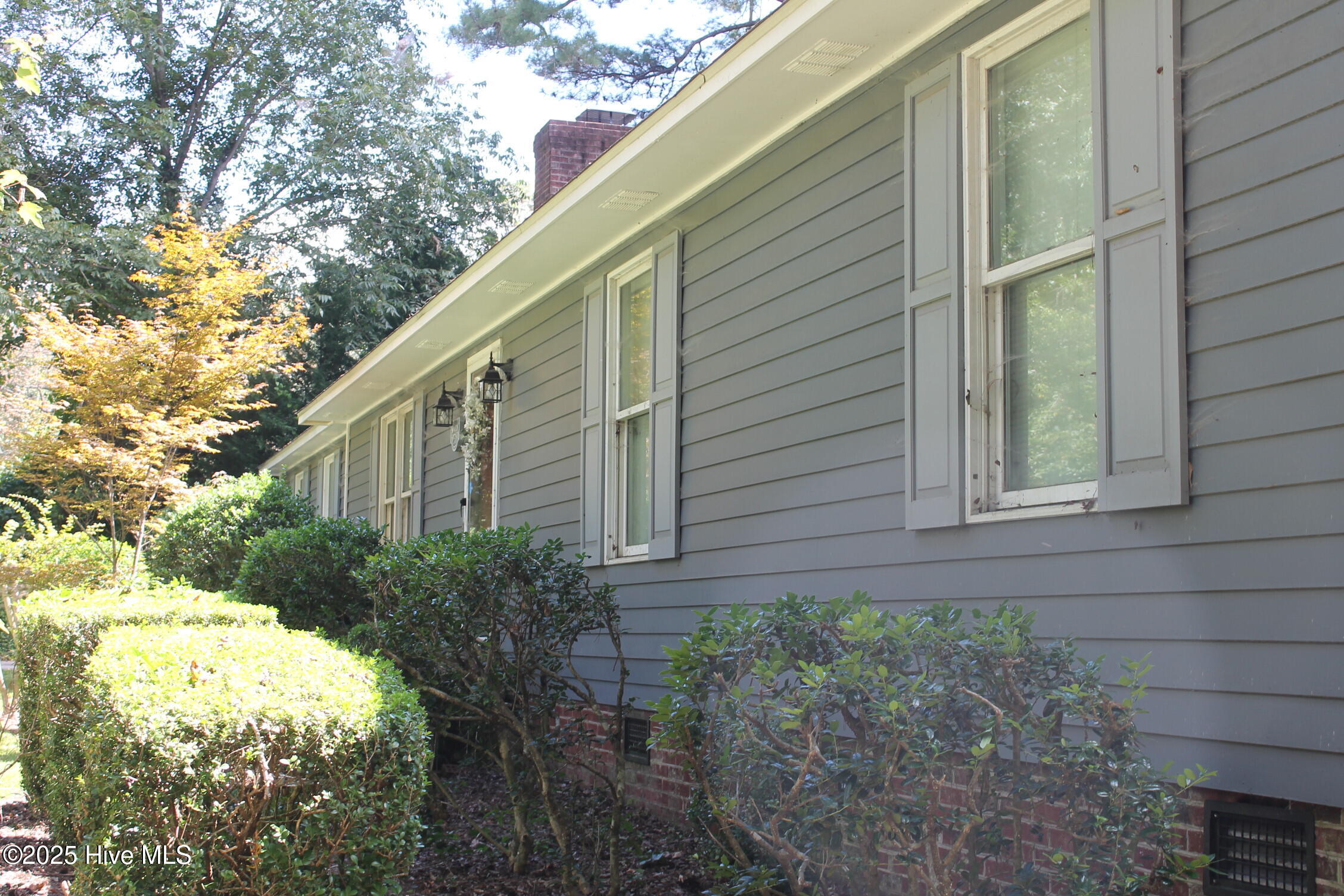 100530982 | Photo 18