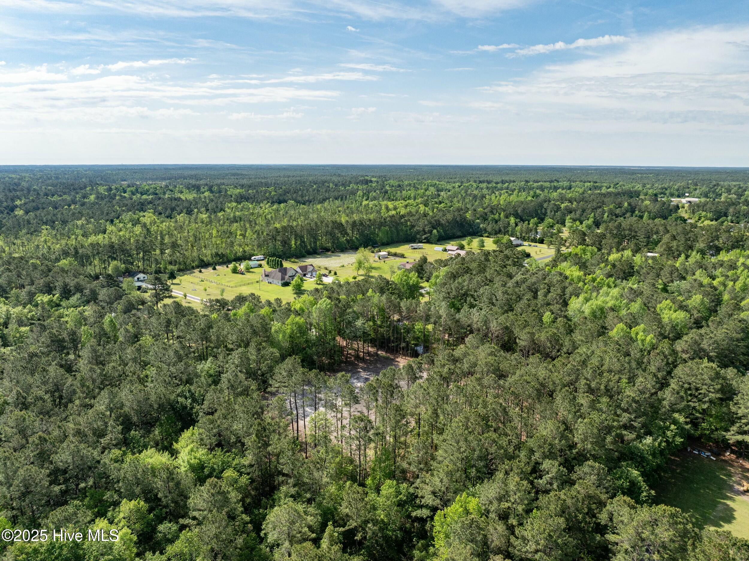 100503919 | Photo 13