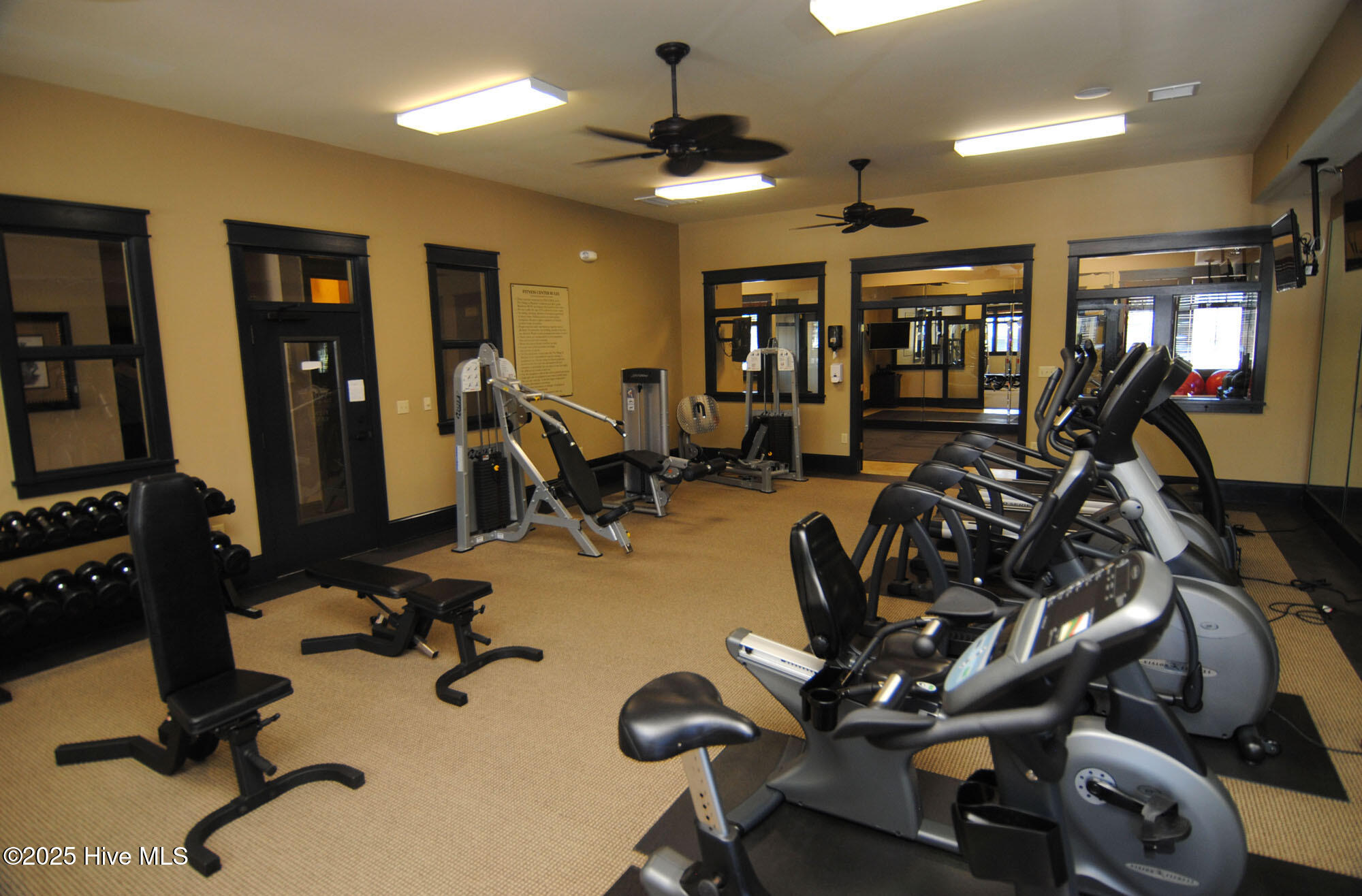 100536723 | Photo 60