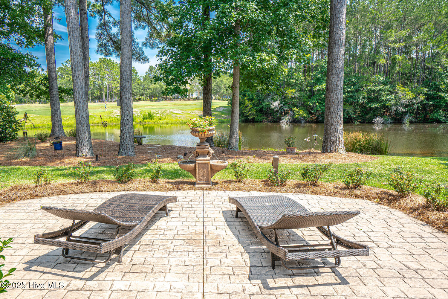 100514685 | Photo 67