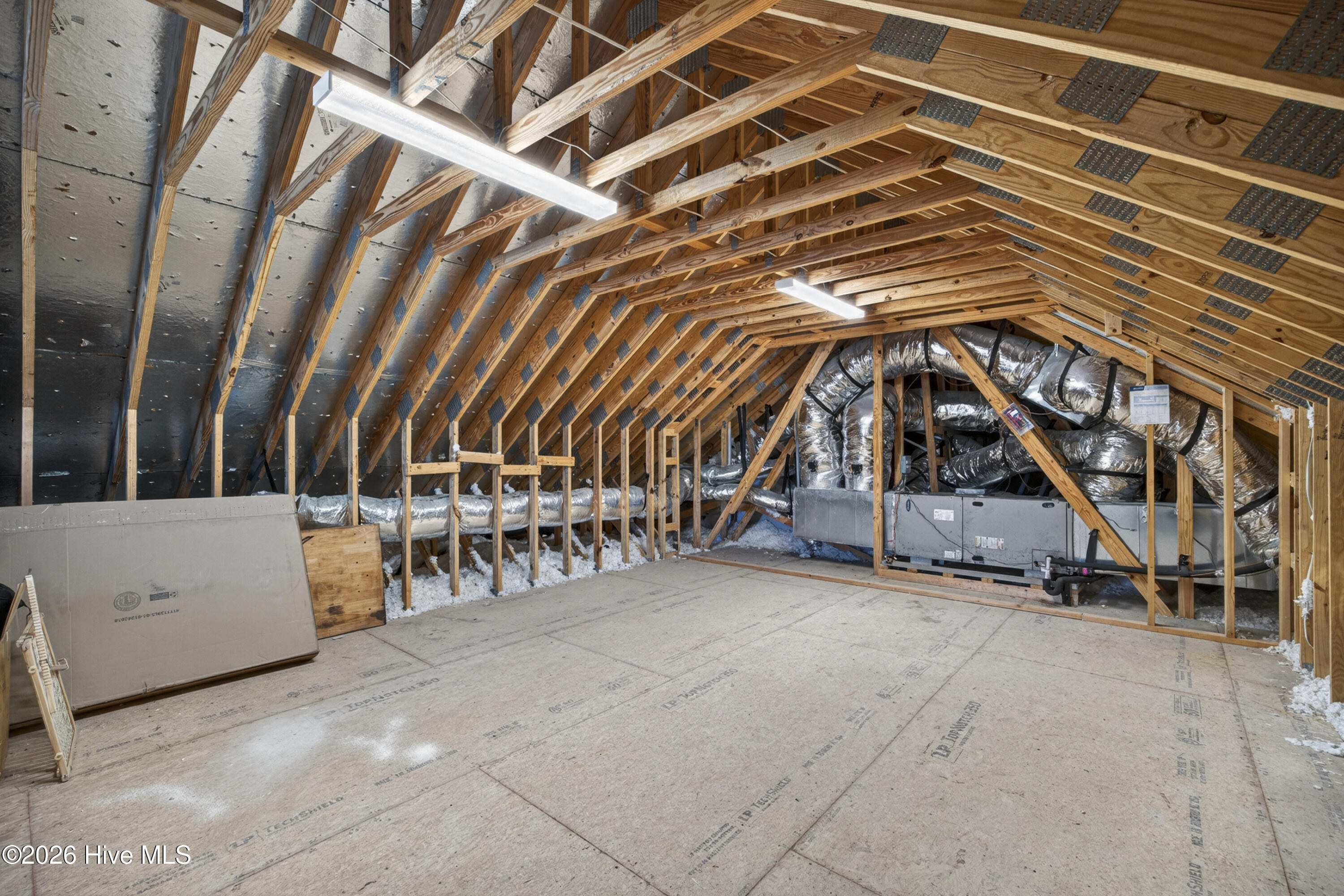 100567368 | Photo 63