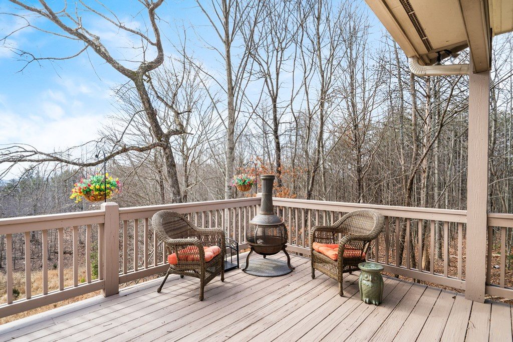 163 Yellow Maple Lane, Murphy, NC 28906 Listing Photo  40
