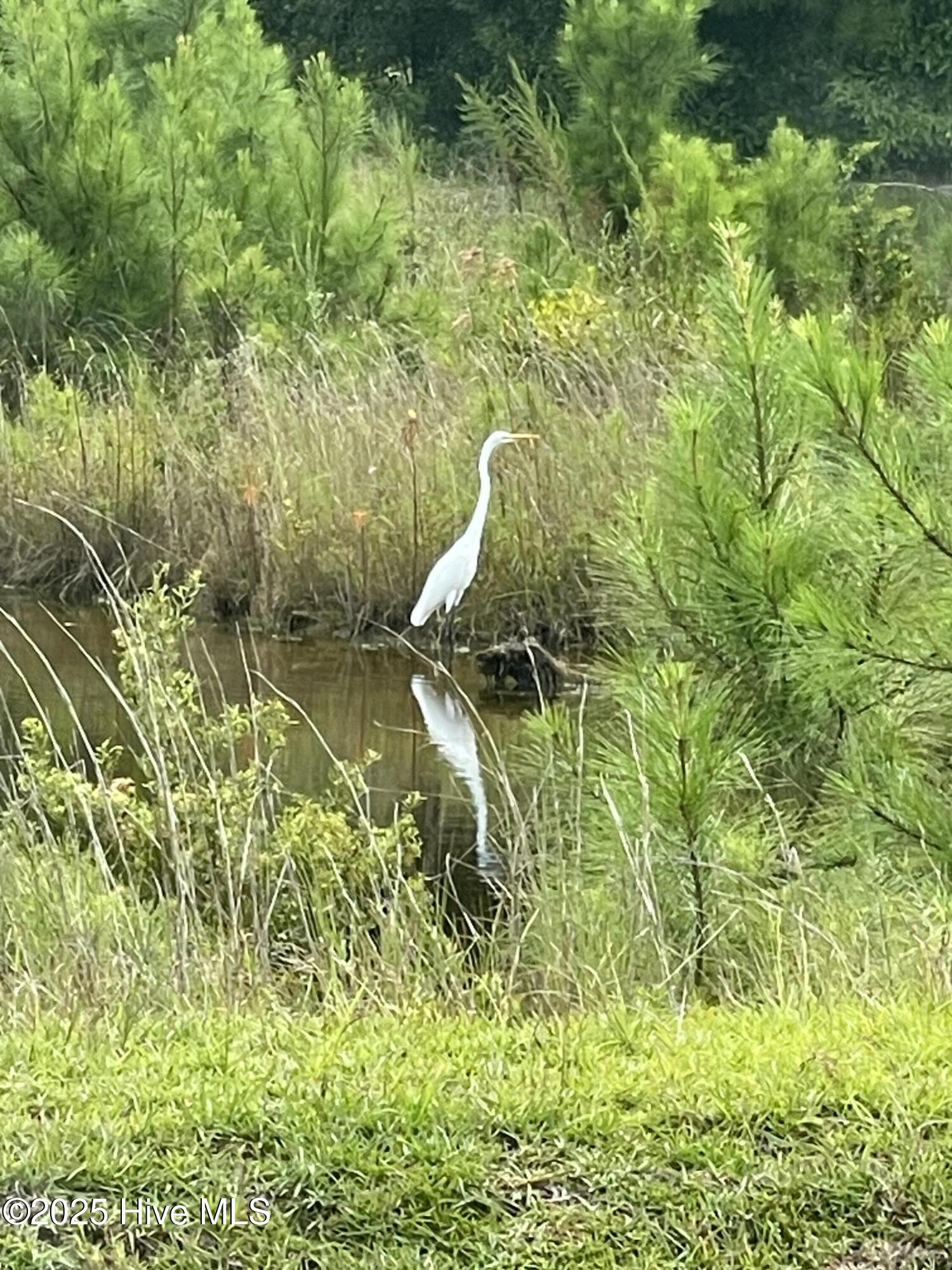 100541240 | Photo 50