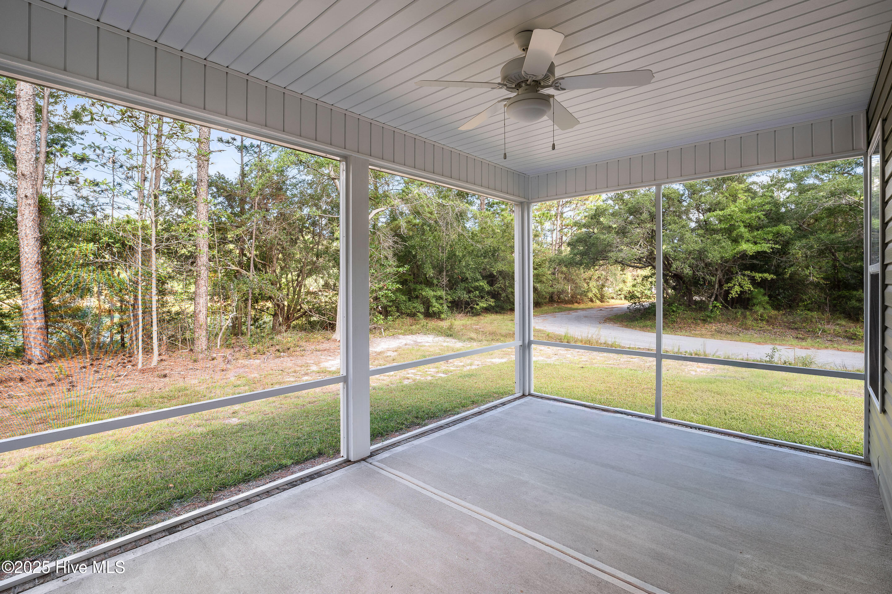 100534961 | Photo 26