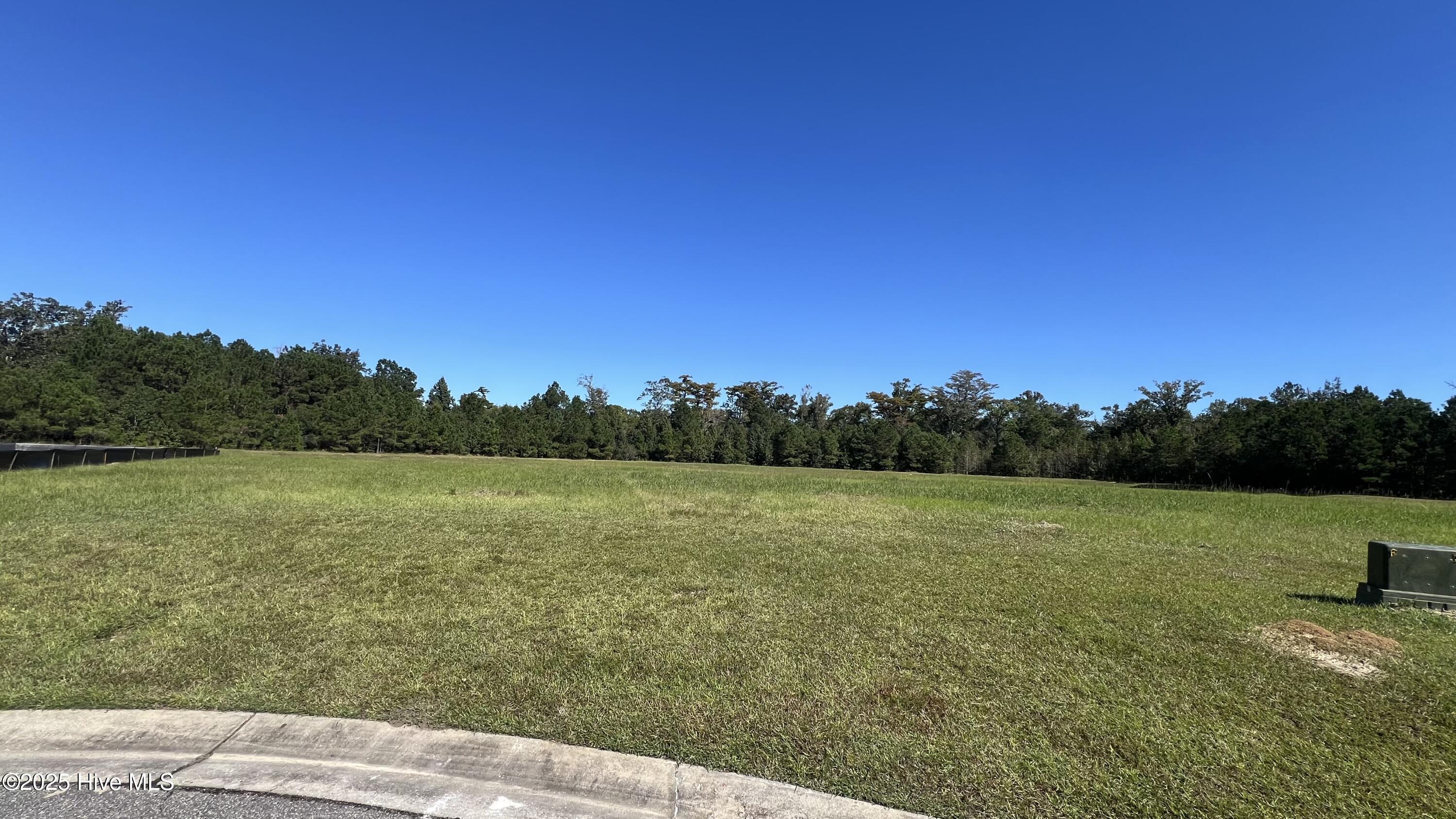 100538971 | Photo 13