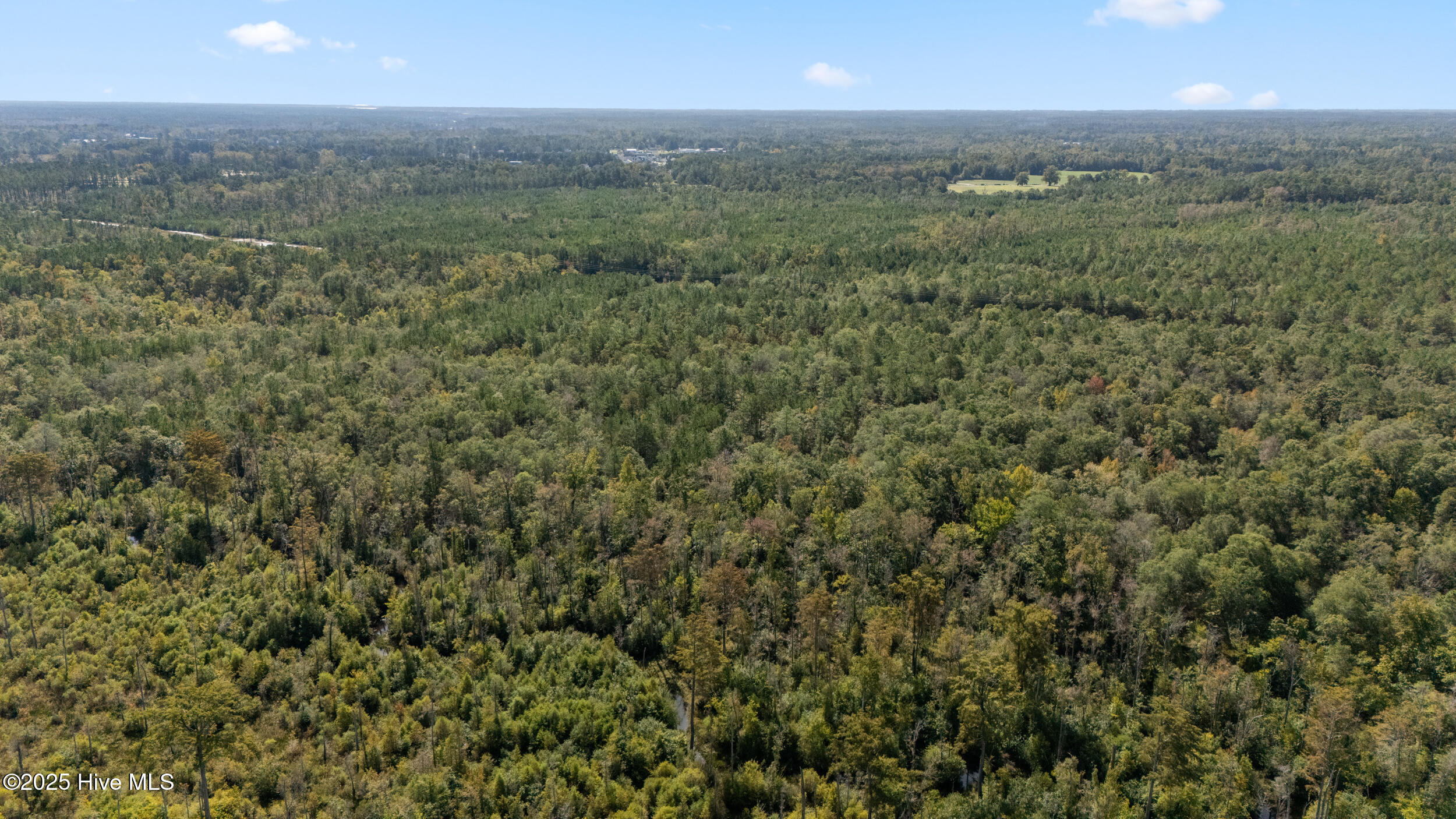 100536371 | Photo 17