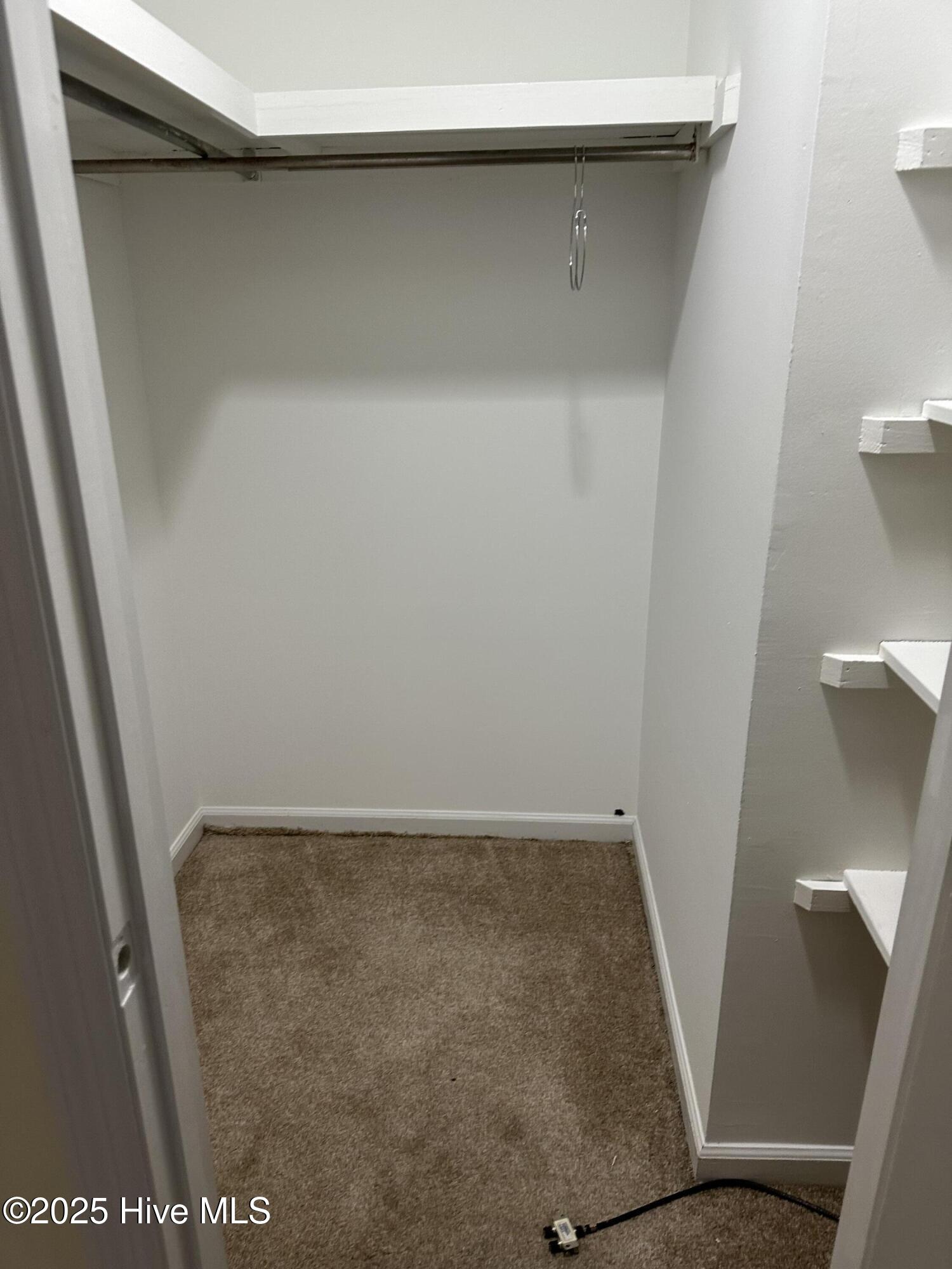 100537313 | Photo 12