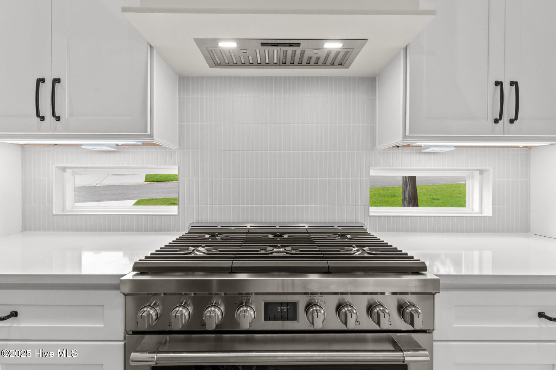 100525046 | Photo 19