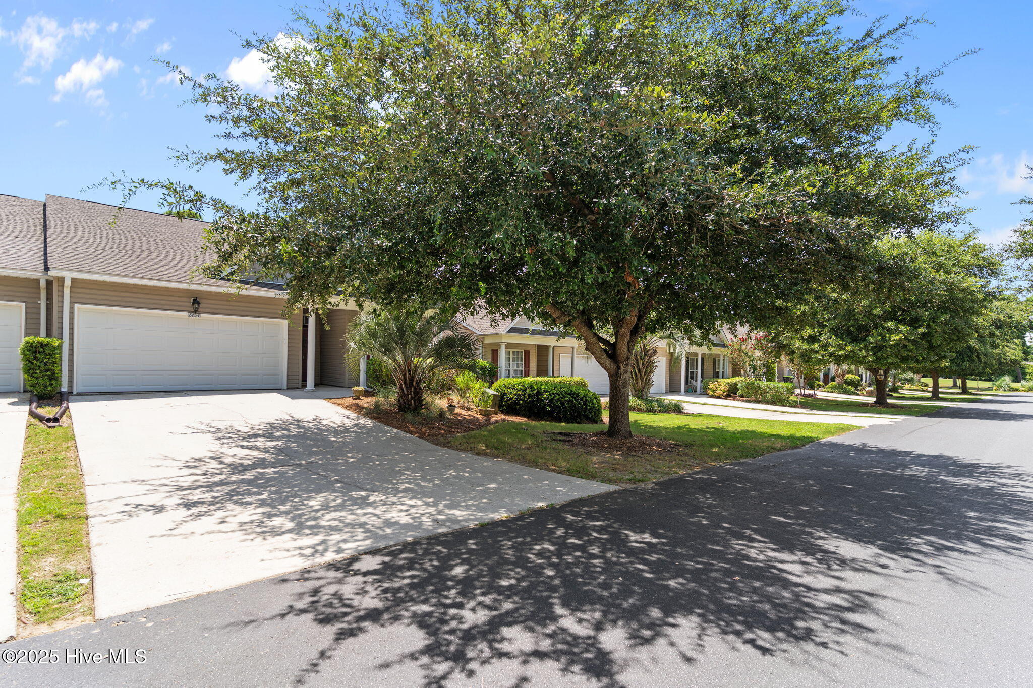 100522397 | Photo 55