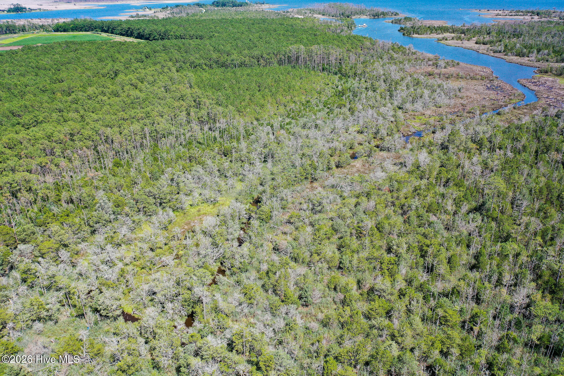 4.57 Acres Meekins Road,Bayboro