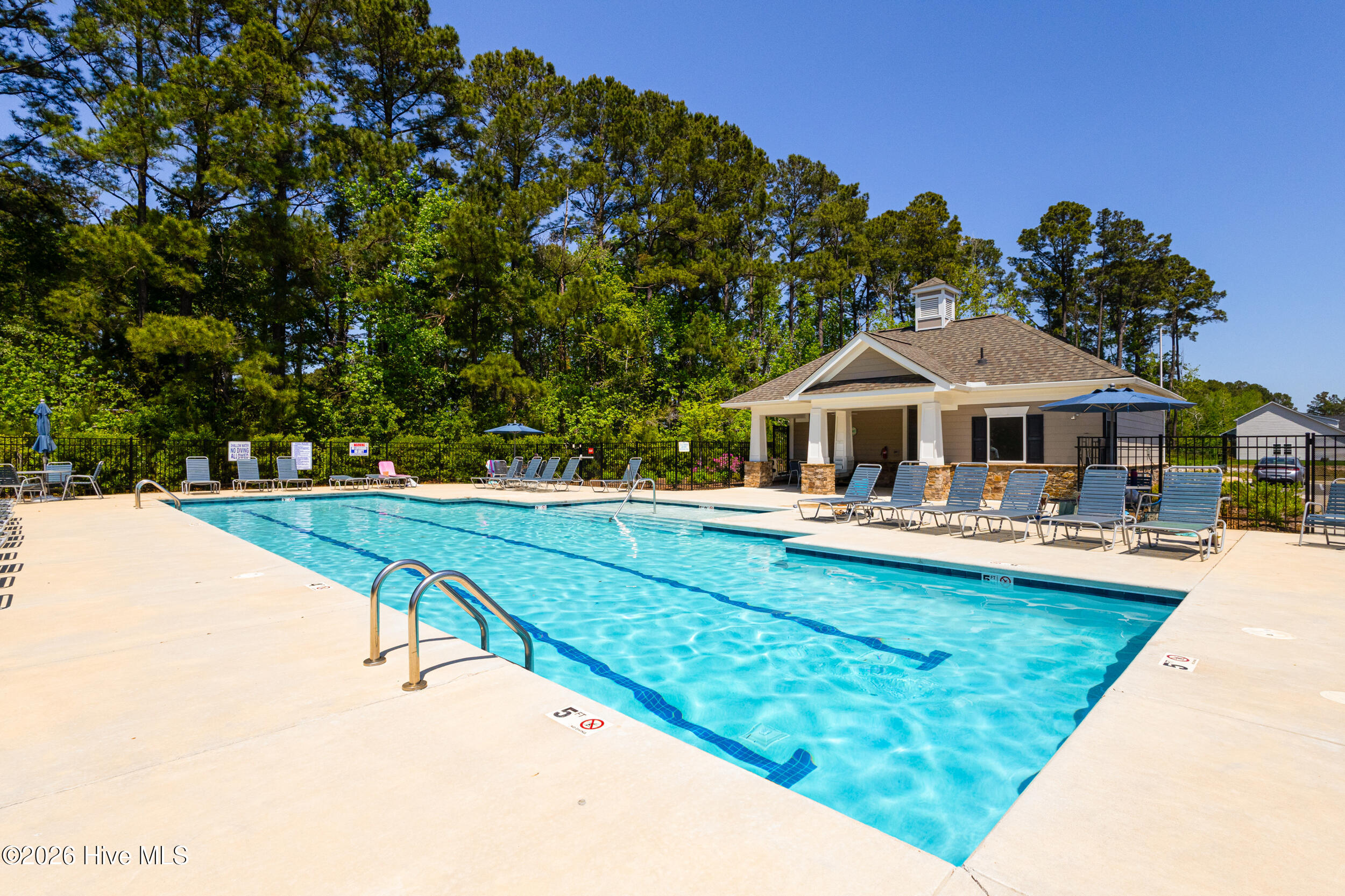 100568412 | Photo 47