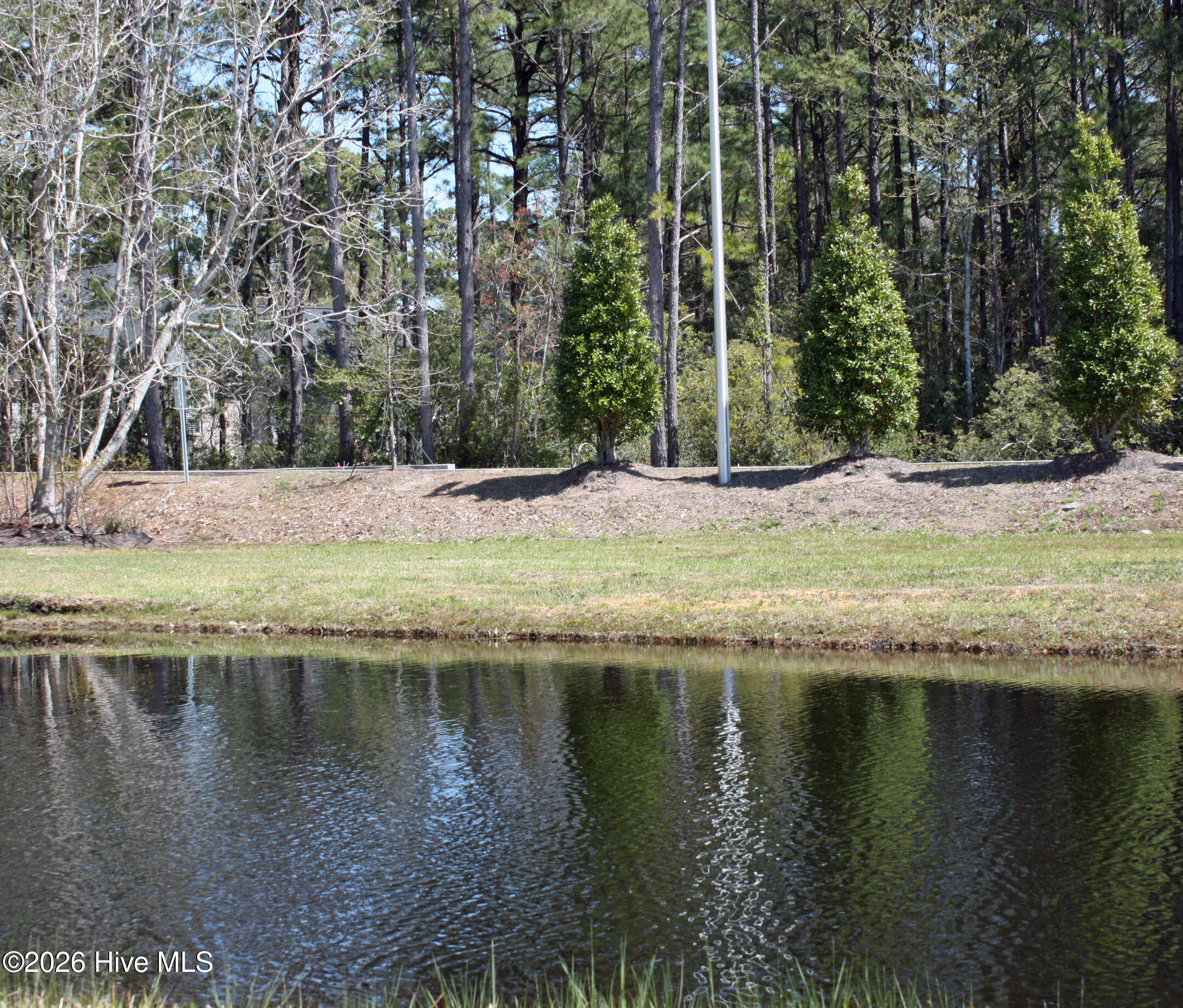 100563332 | Photo 30