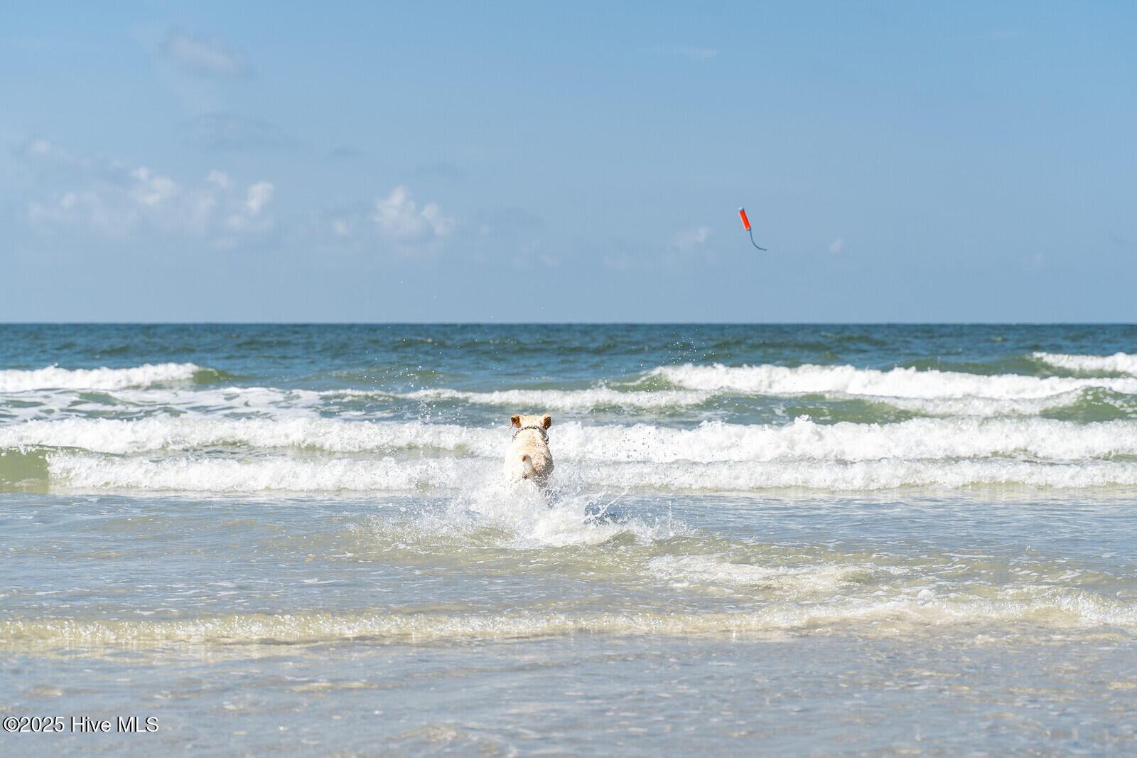 100523532 | Photo 51