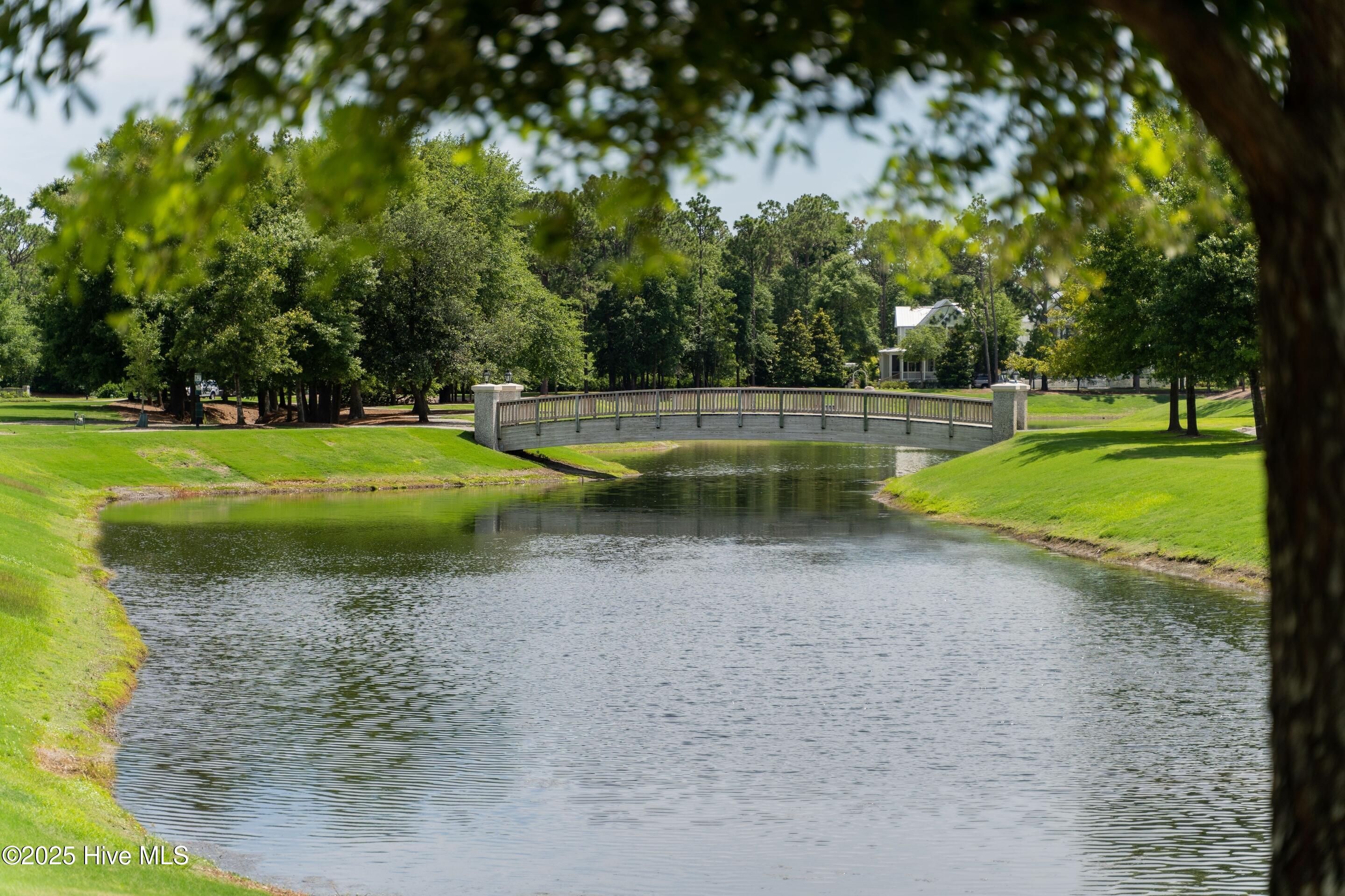 100542273 | Photo 75