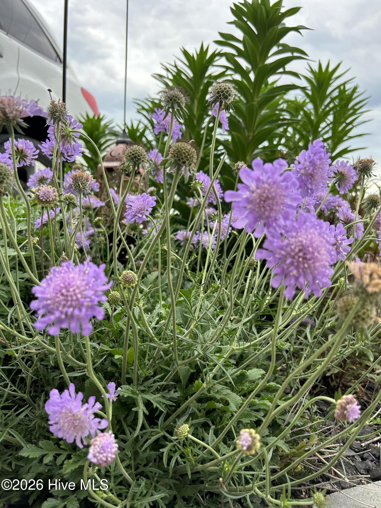 100549687 | Photo 78