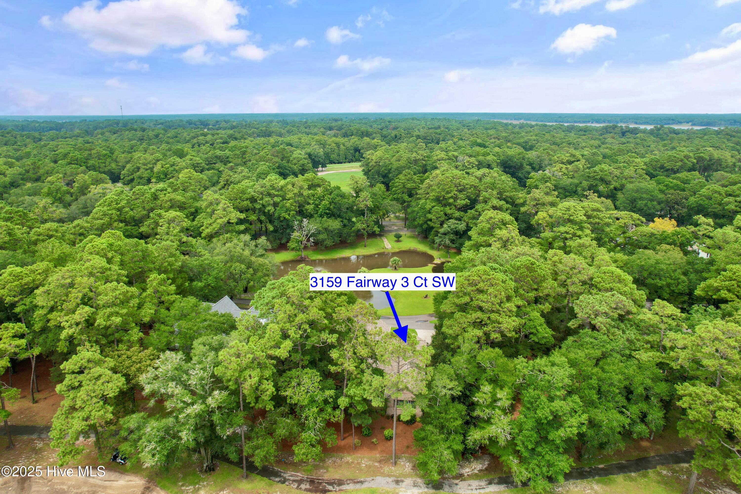 100522633 | Photo 46