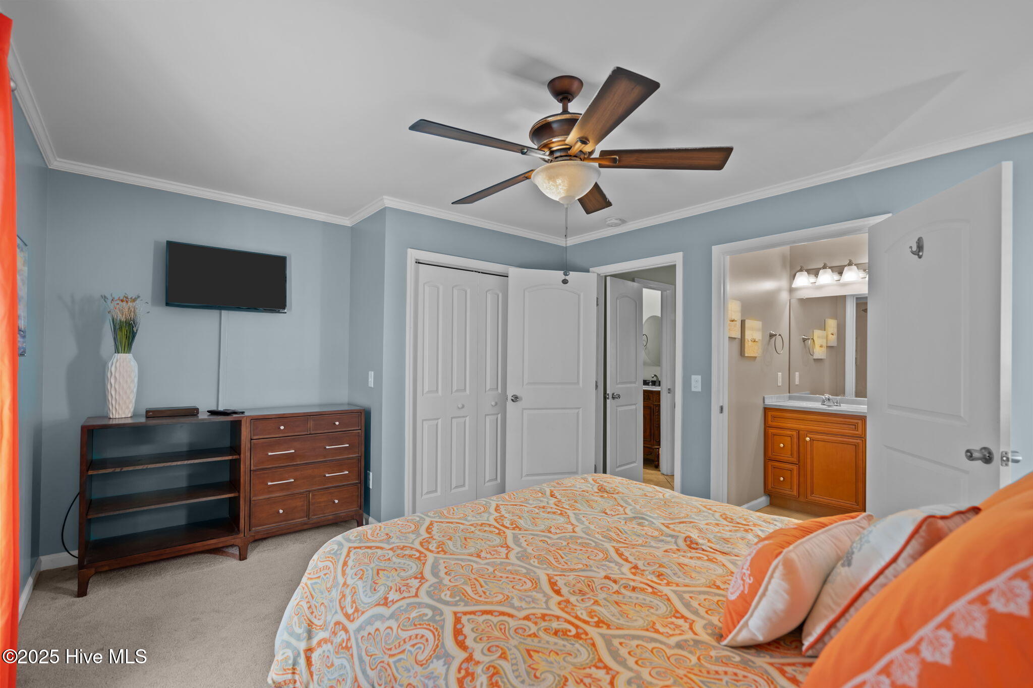 100528642 | Photo 43