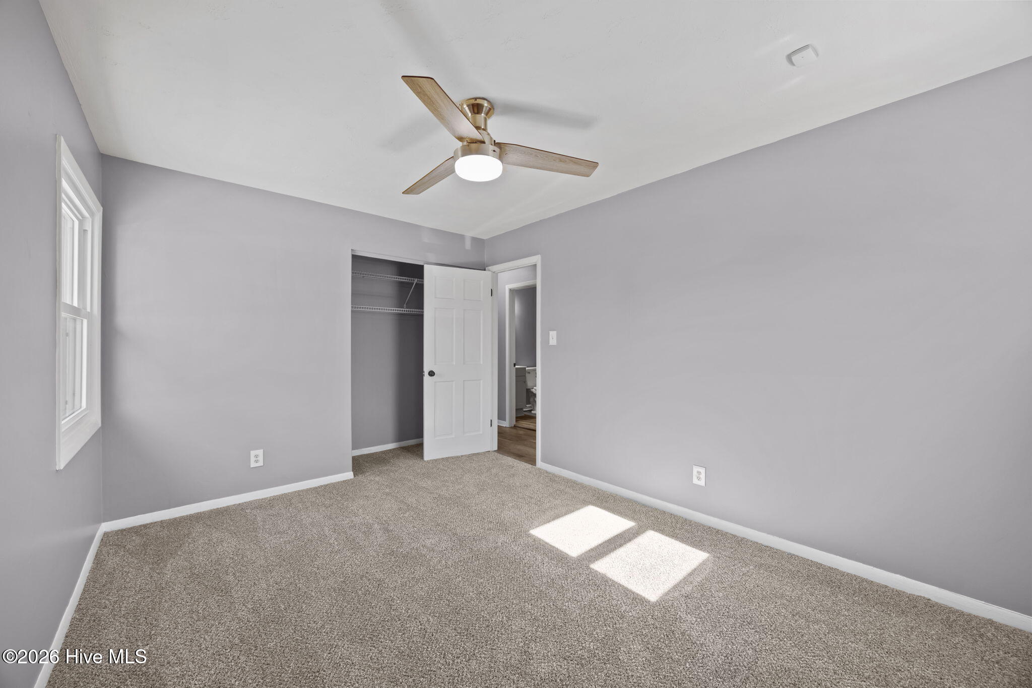 100553623 | Photo 29