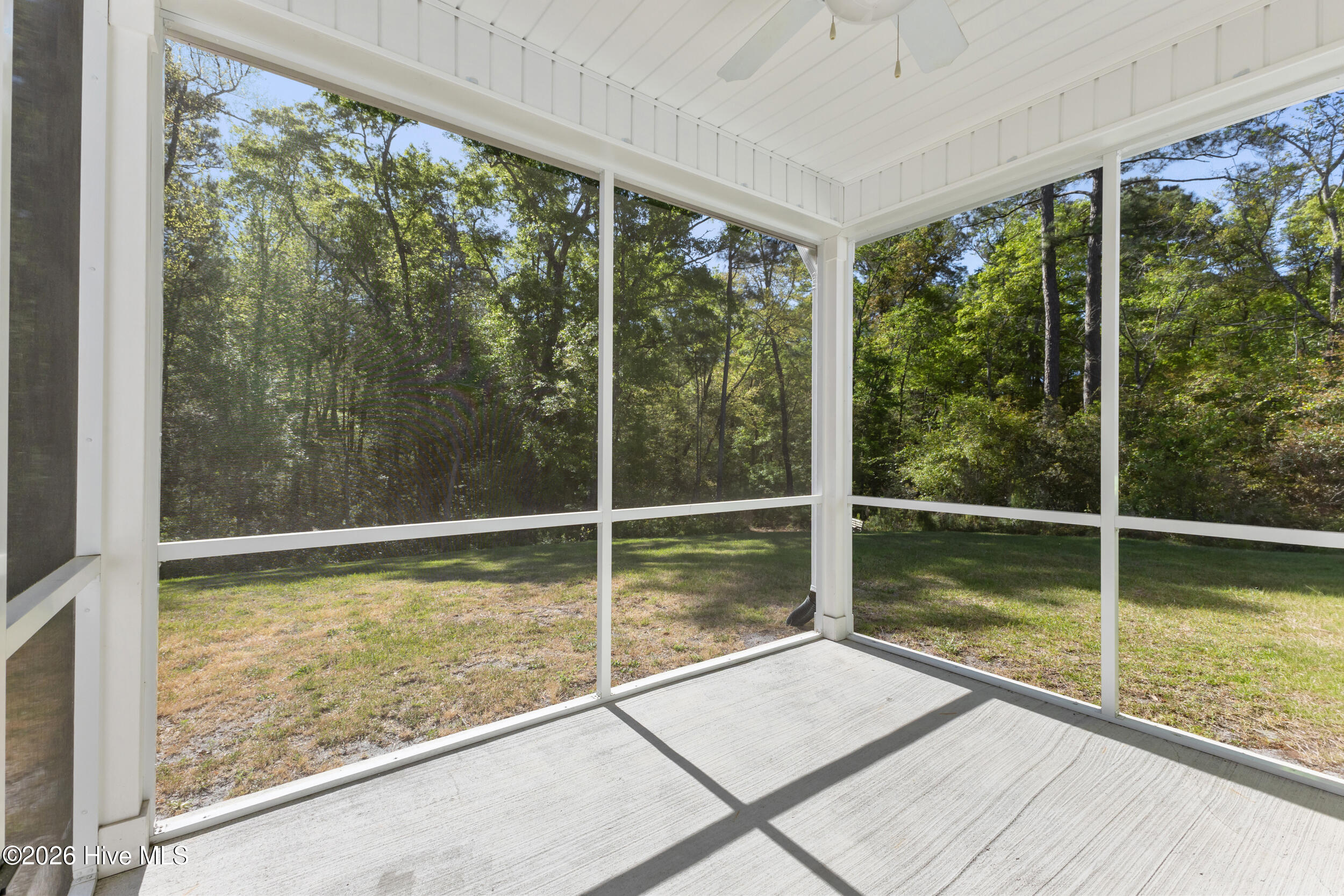 100535849 | Photo 20