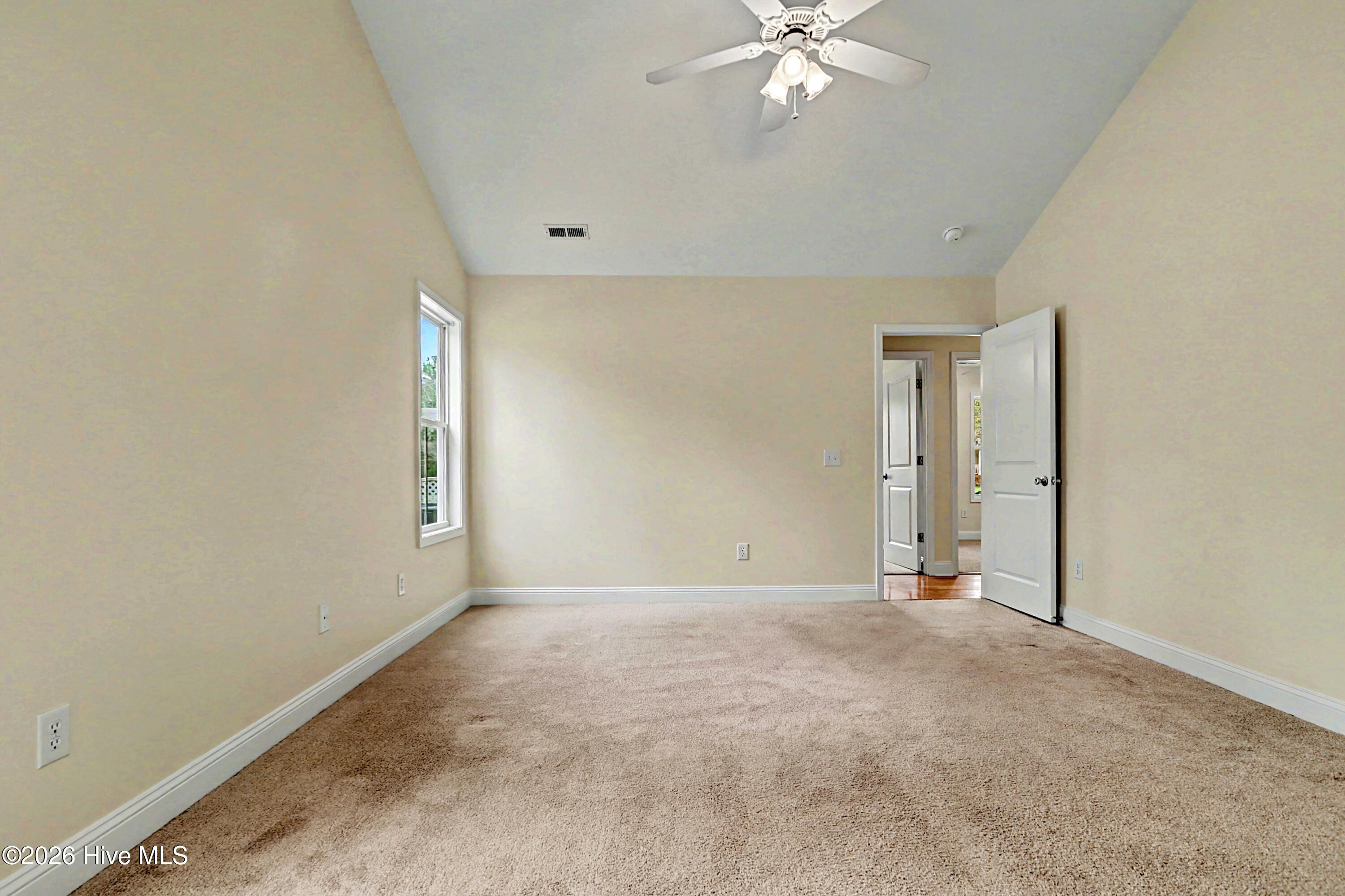 100562113 | Photo 15