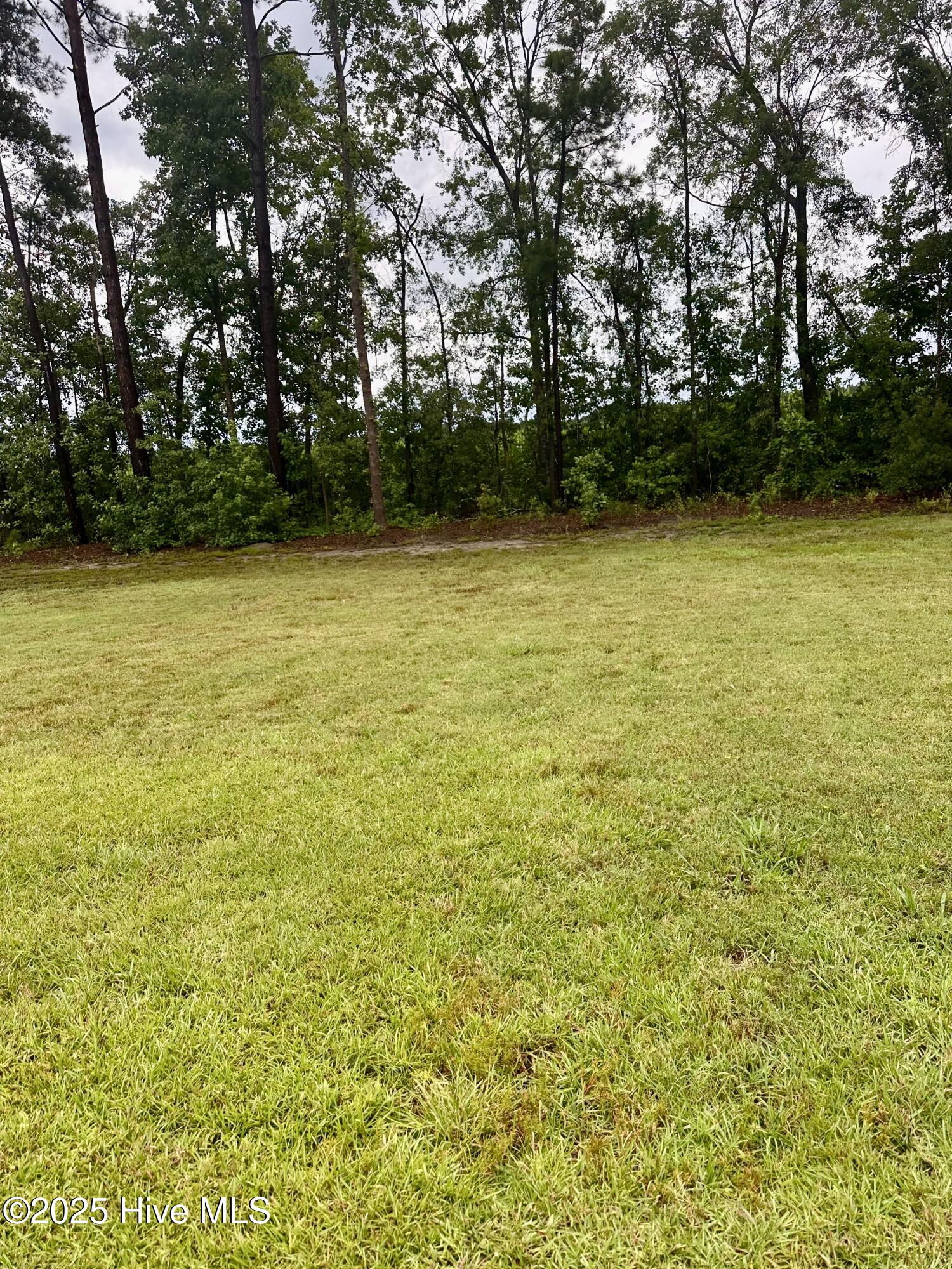 100517382 | Photo 27