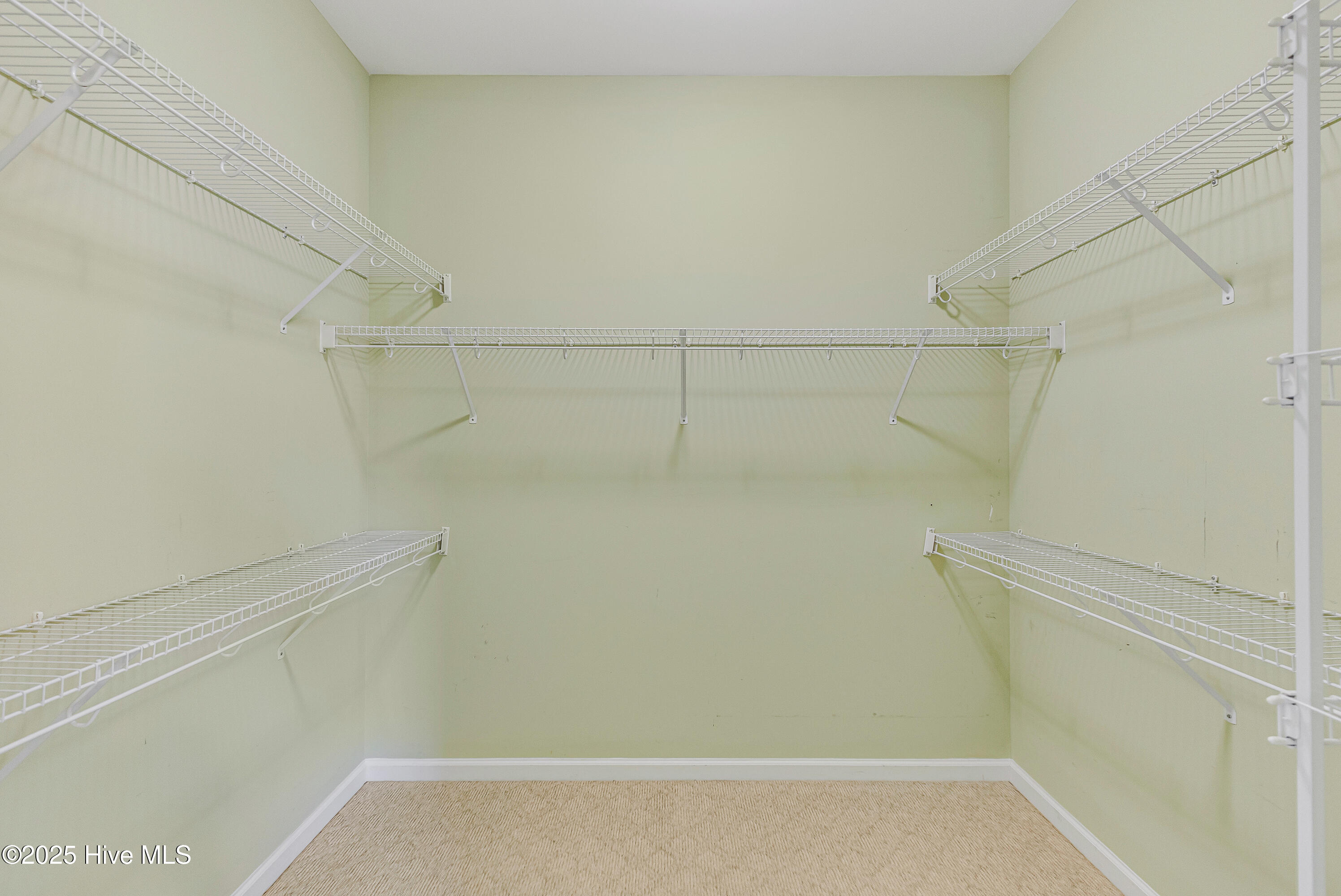 100535789 | Photo 27