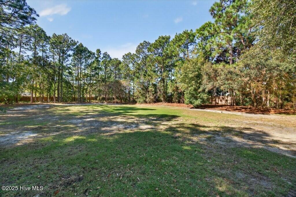 100535369 | Photo 55