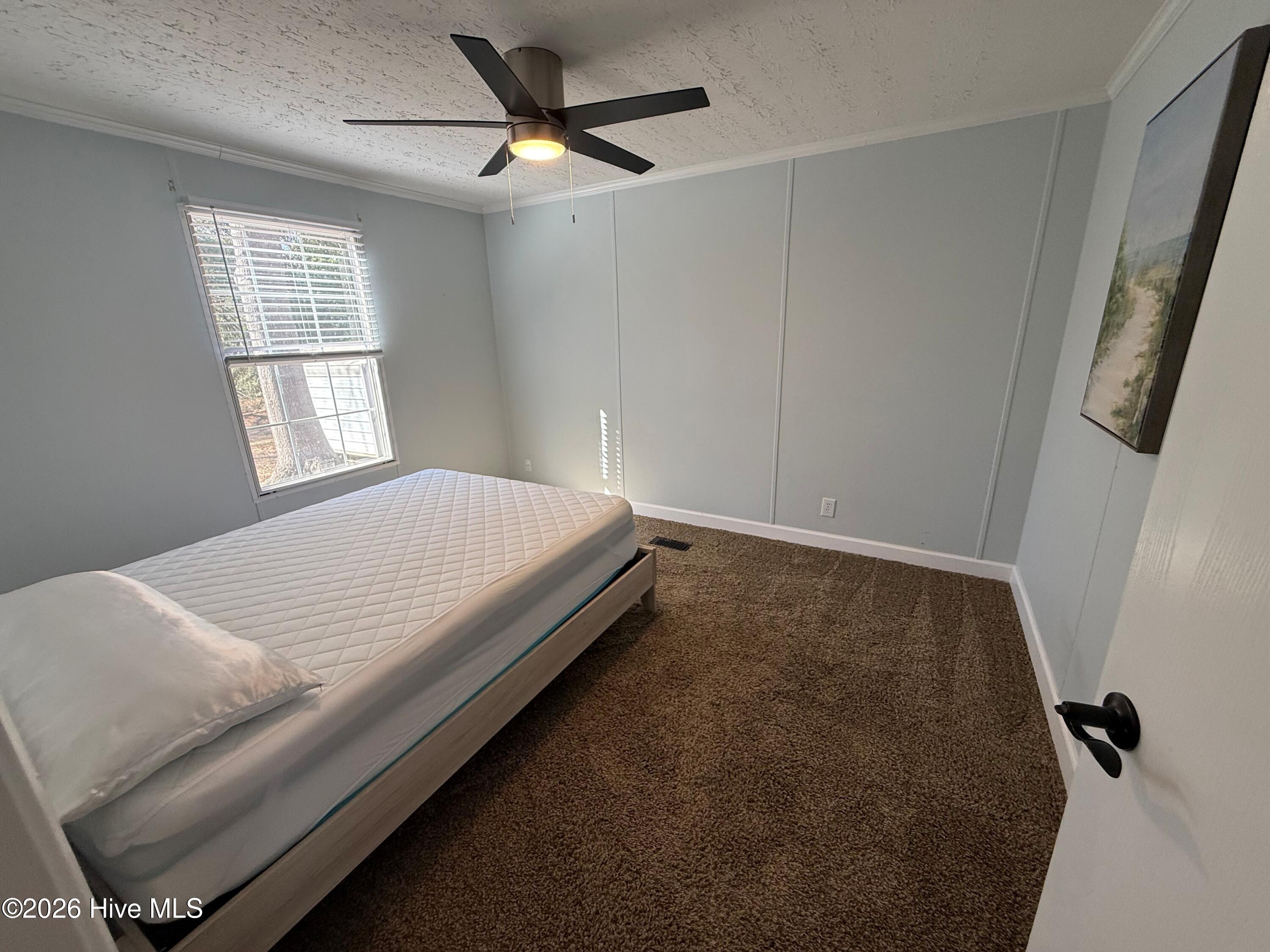 100555141 | Photo 14