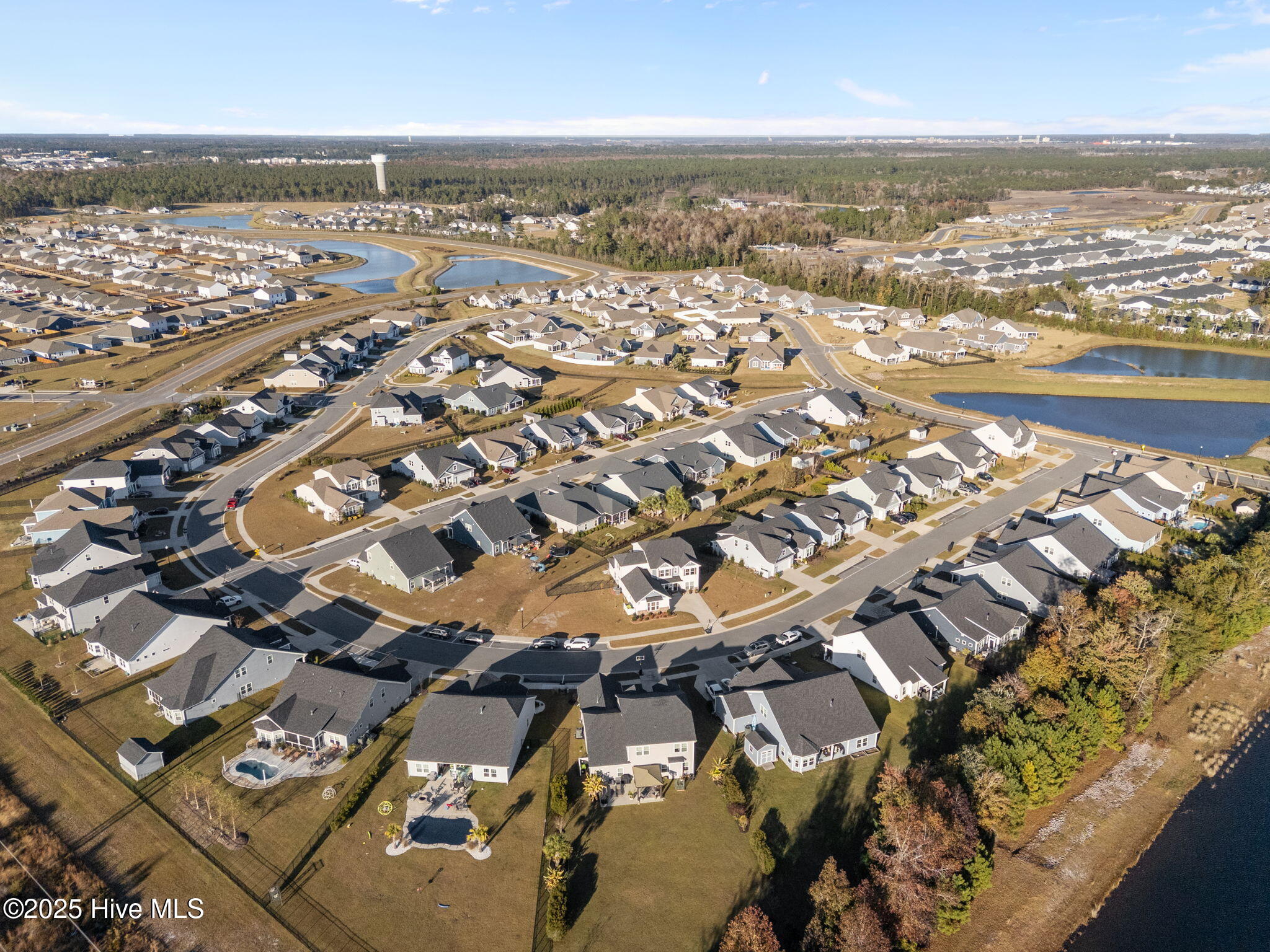 100542134 | Photo 58