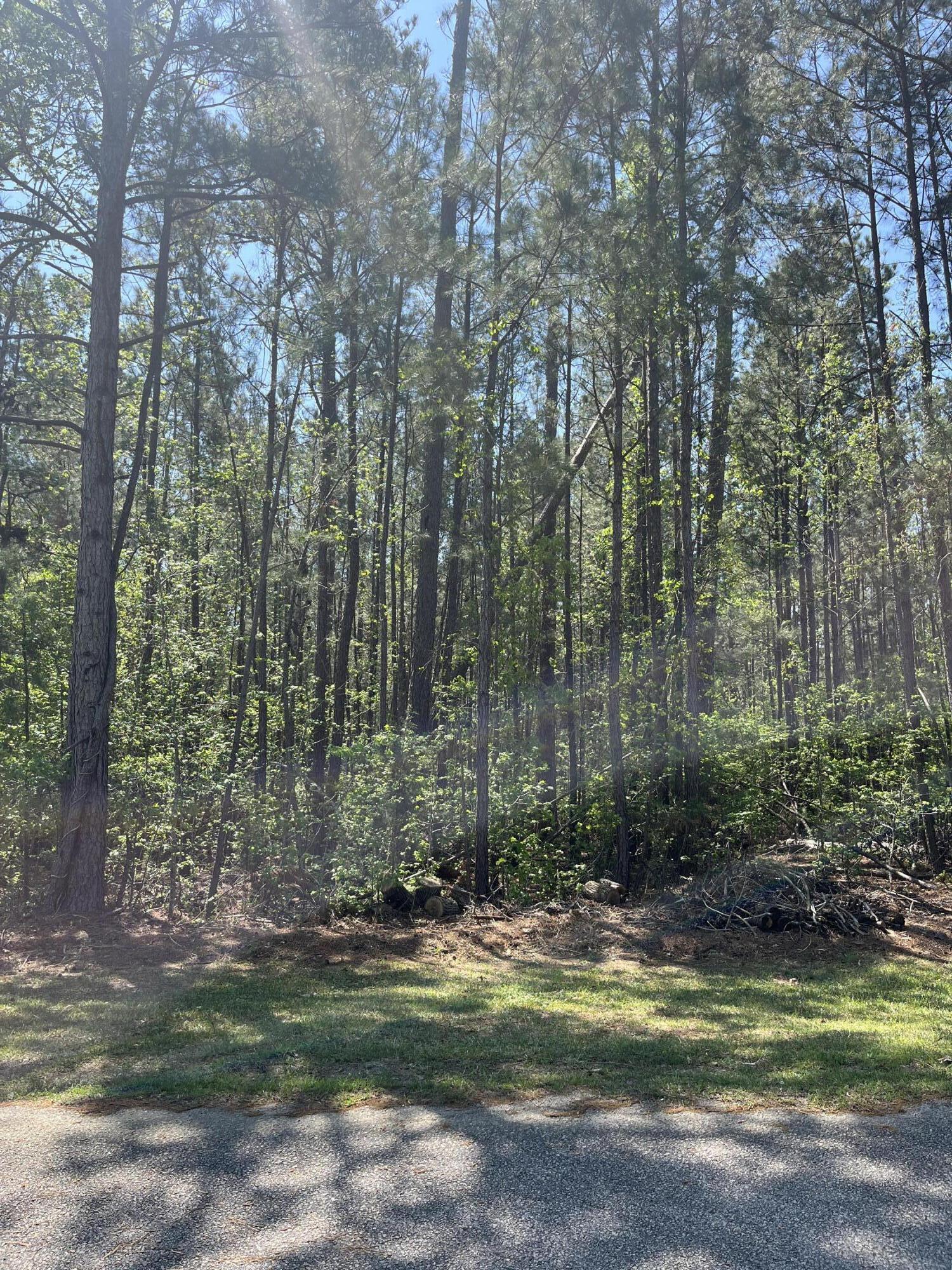 L14 B39 Antioch Drive, Mccormick, SC, 29835