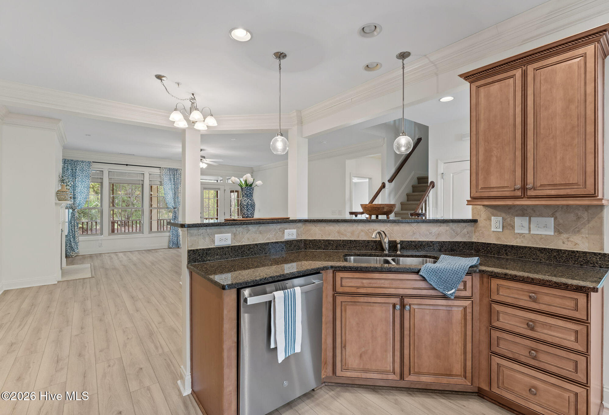 111-web-or-mls-DSC03731