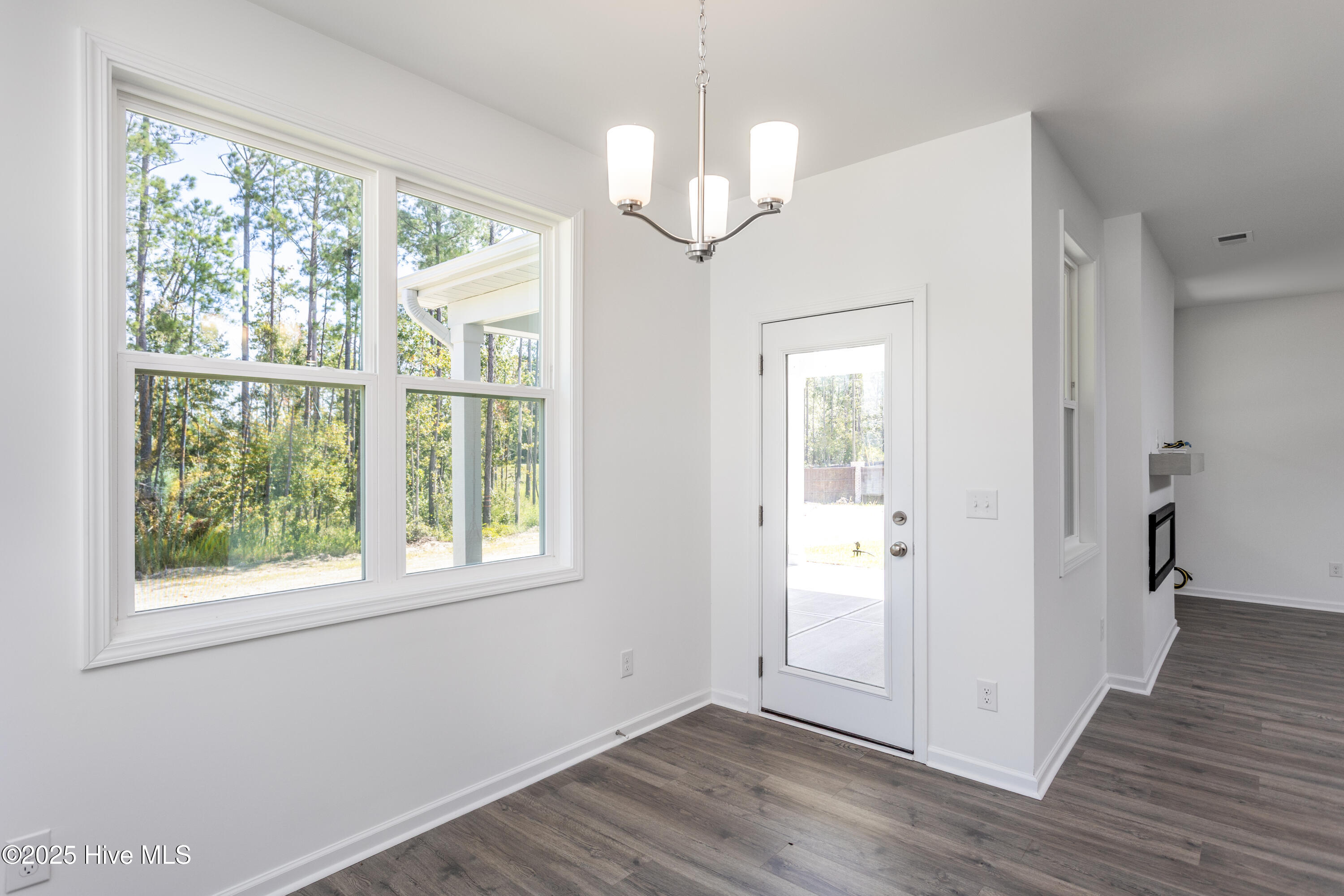 100507408 | Photo 12