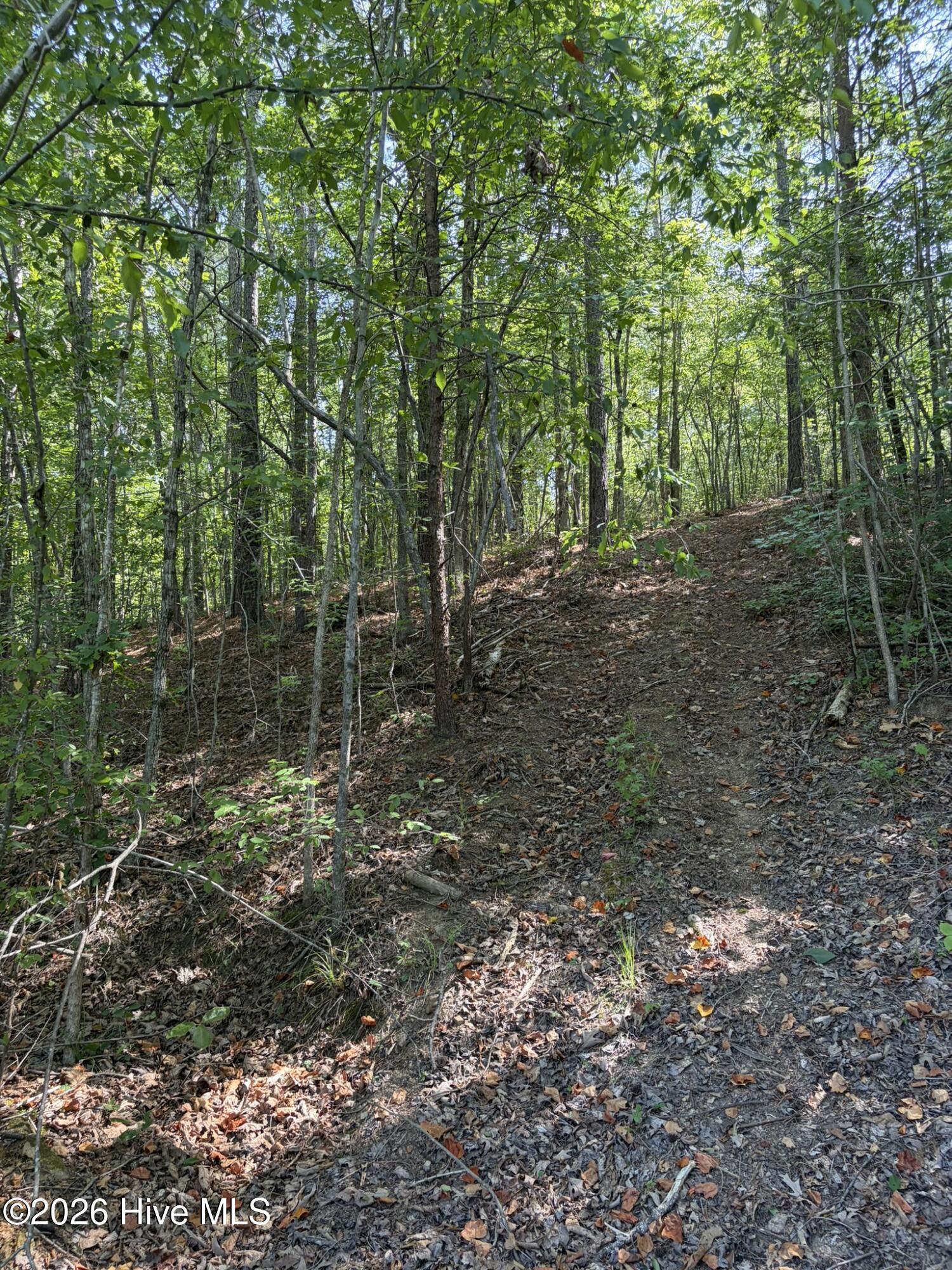 Exterior photo of Tbd Green Road, Ellerbe, NC 28338. MLS: 100585777