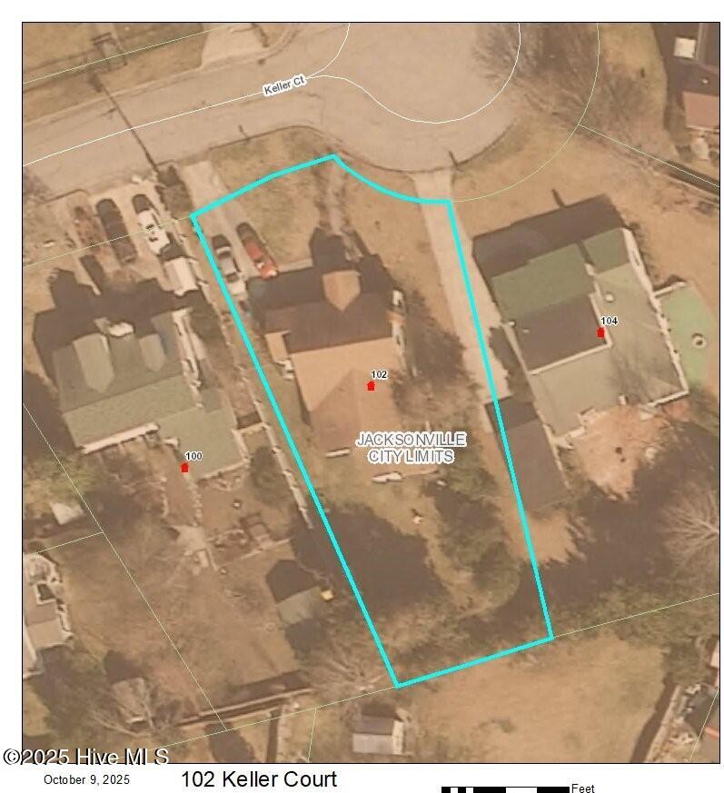 100542473 | Photo 39