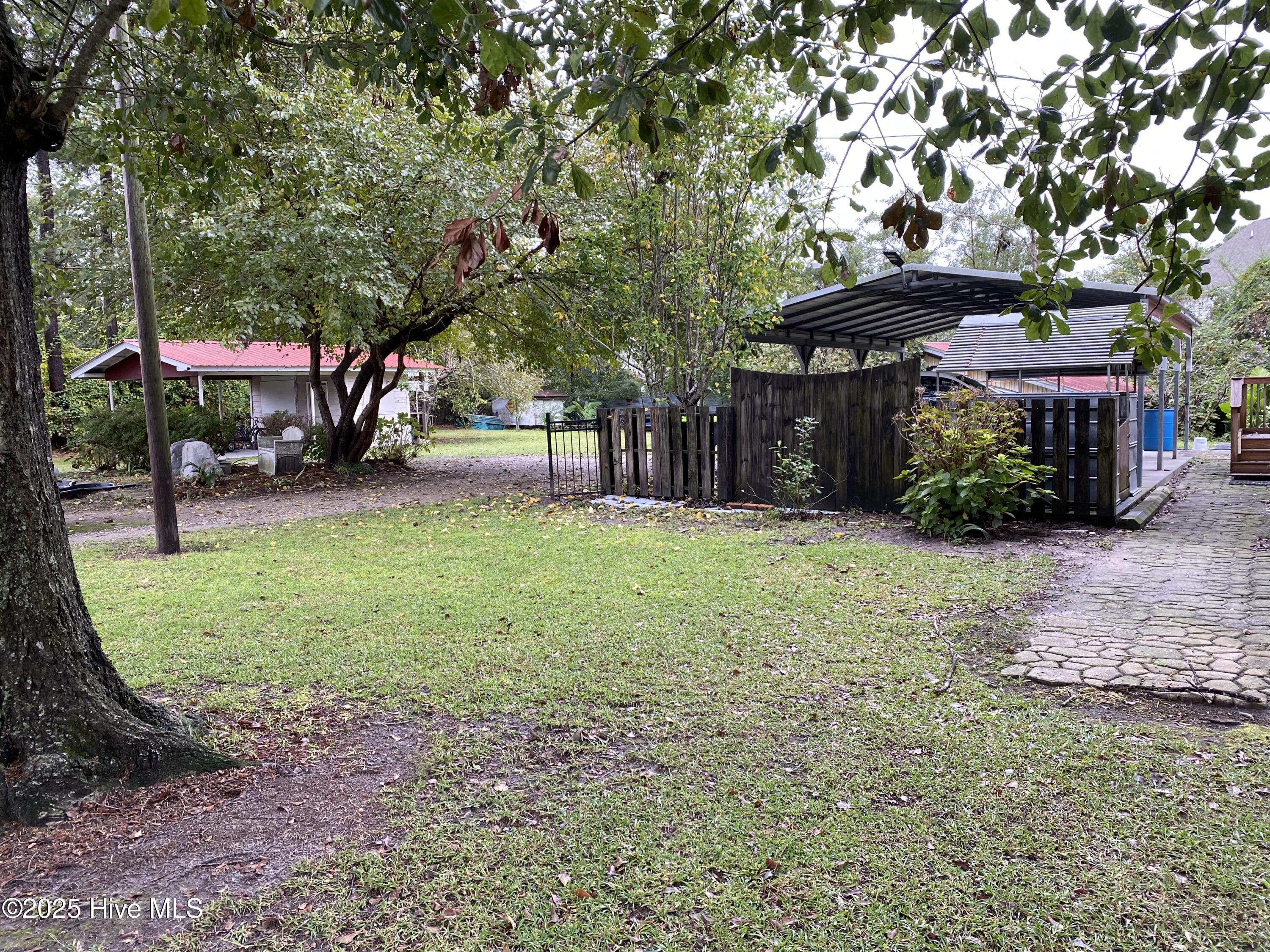 100533664 | Photo 19