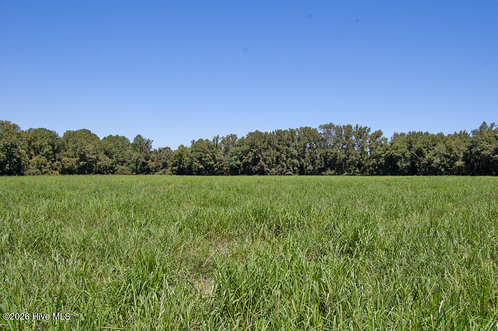 100549215 | Photo 2