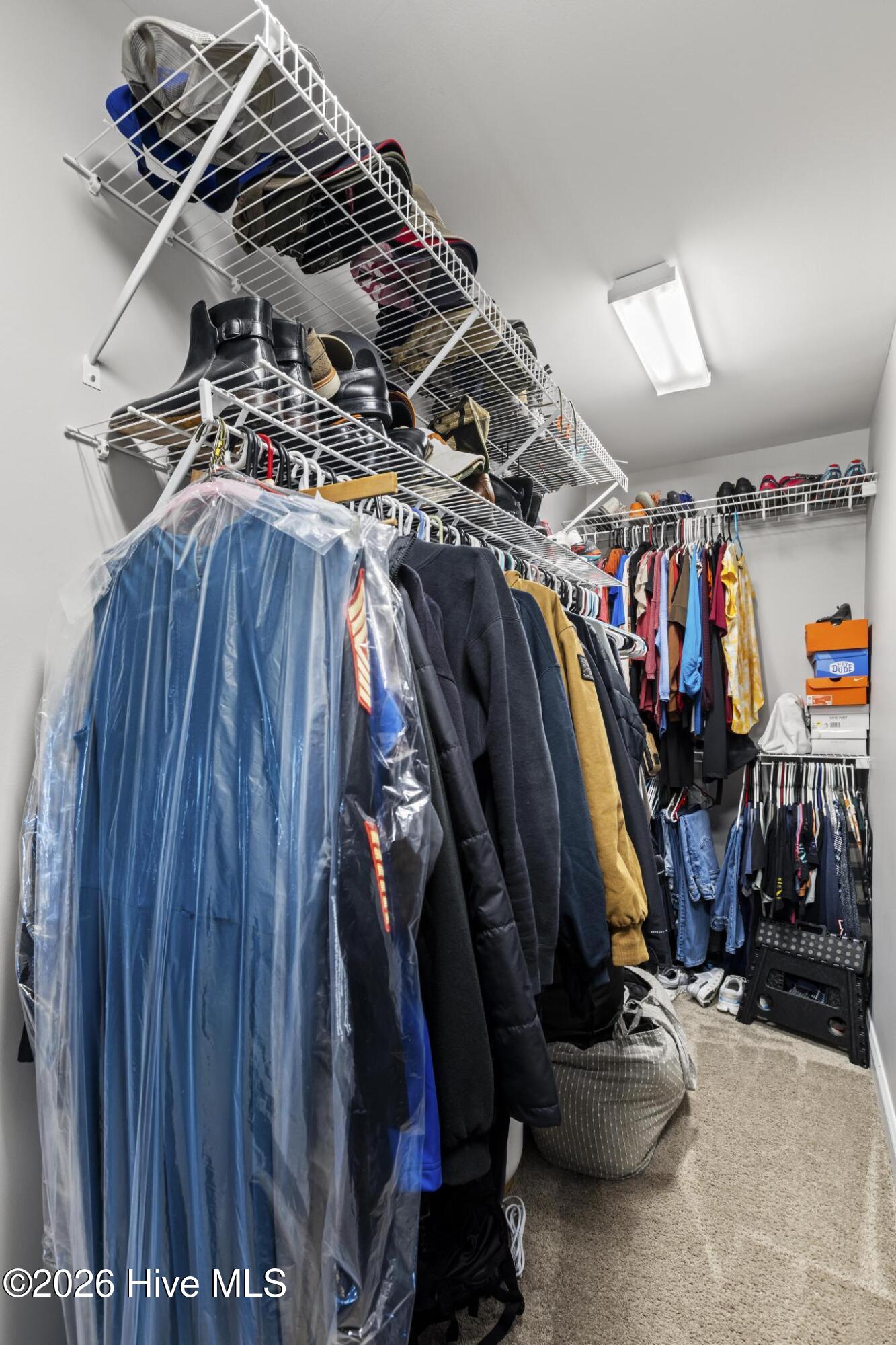 100553359 | Photo 25