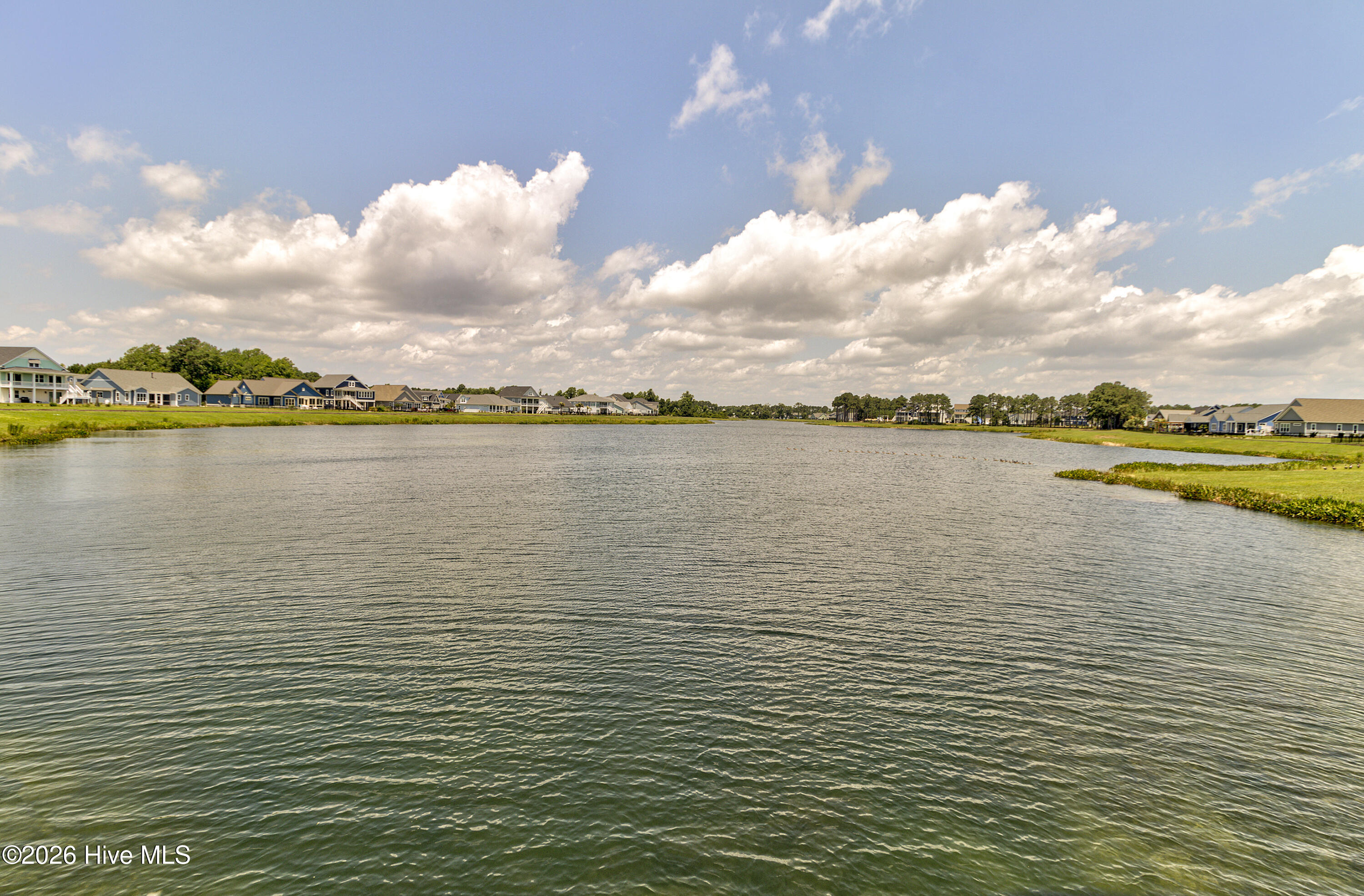 100559873 | Photo 53