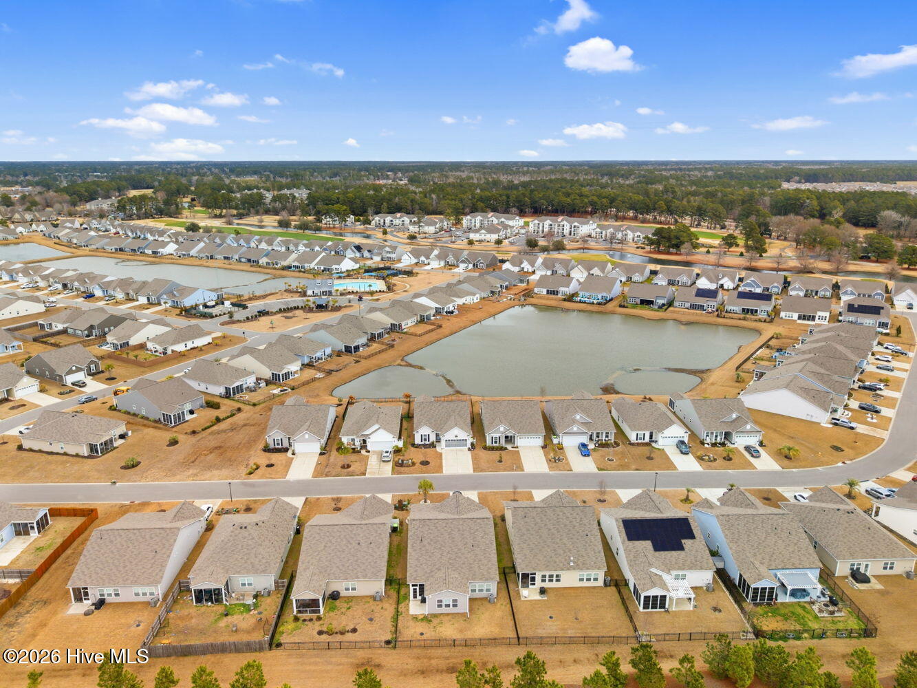 100555393 | Photo 44