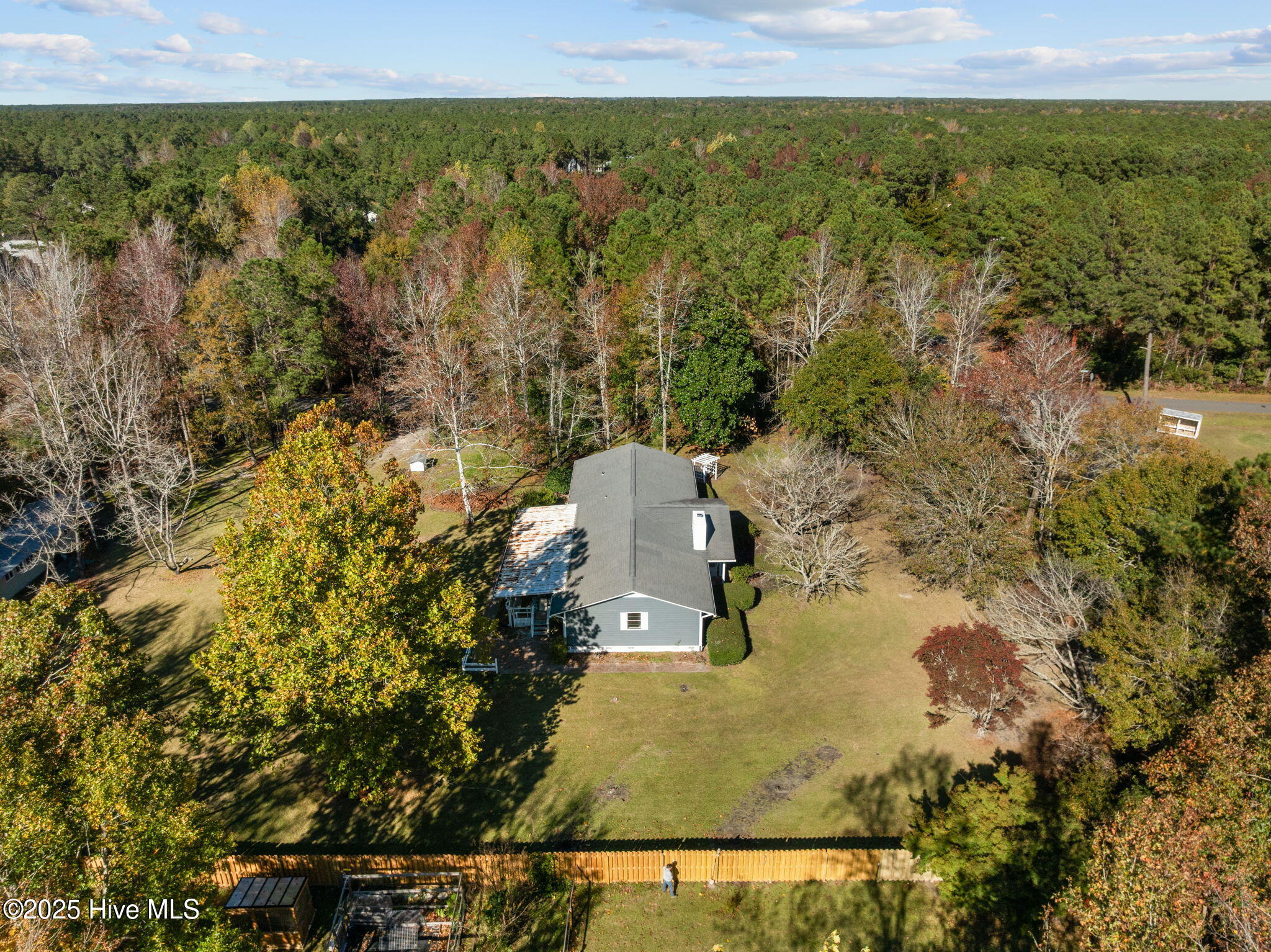 100541666 | Photo 61