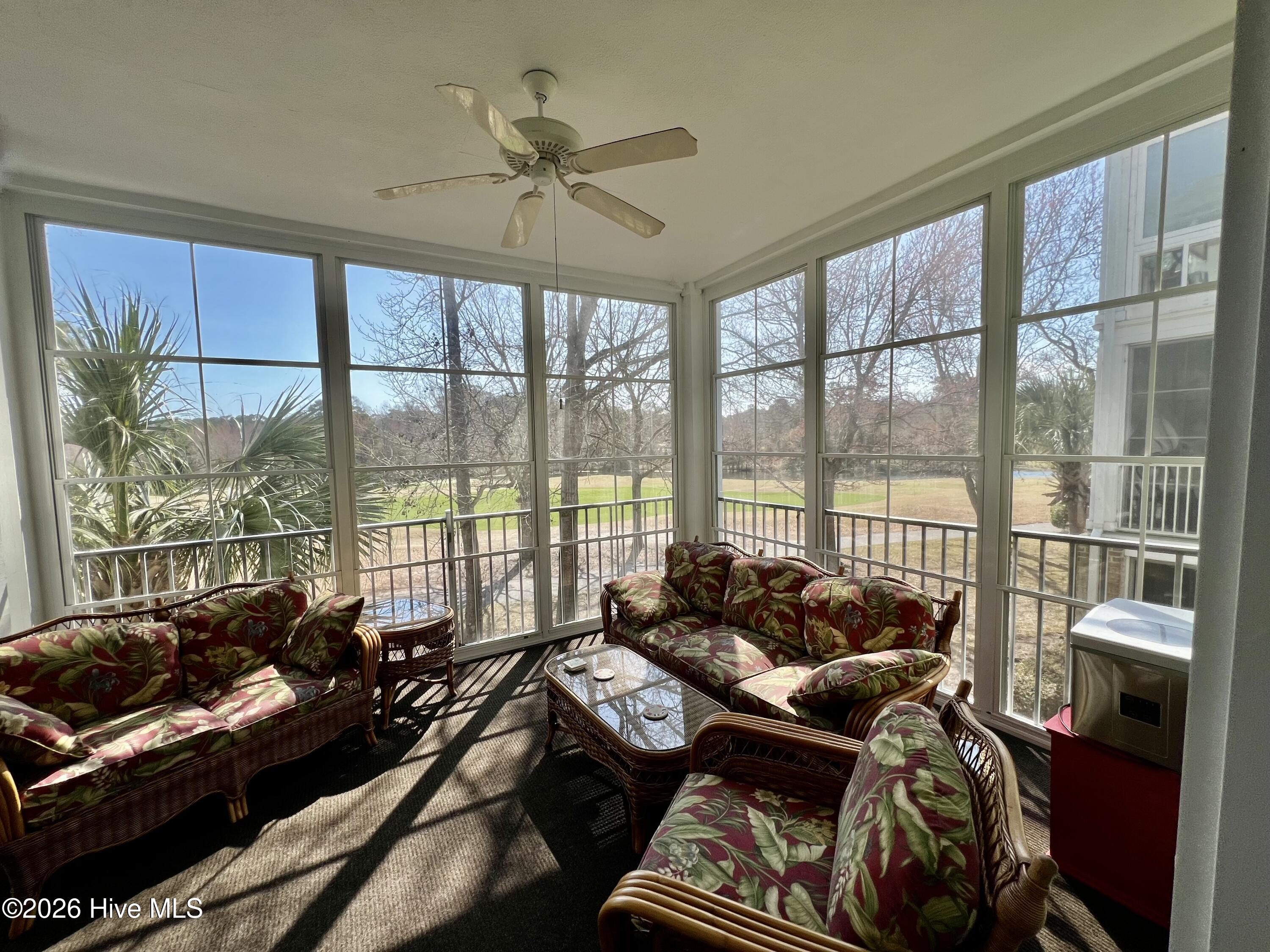 100558877 | Photo 18