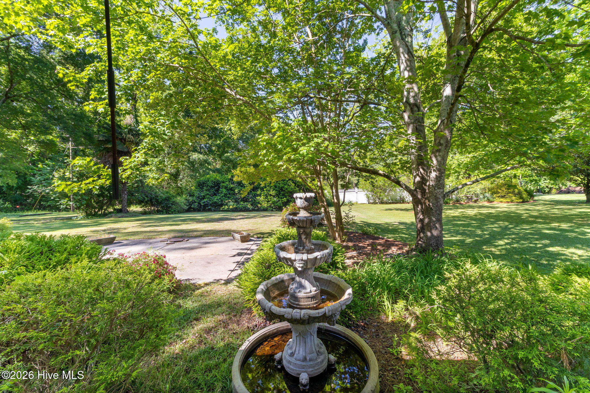 Rear Patio