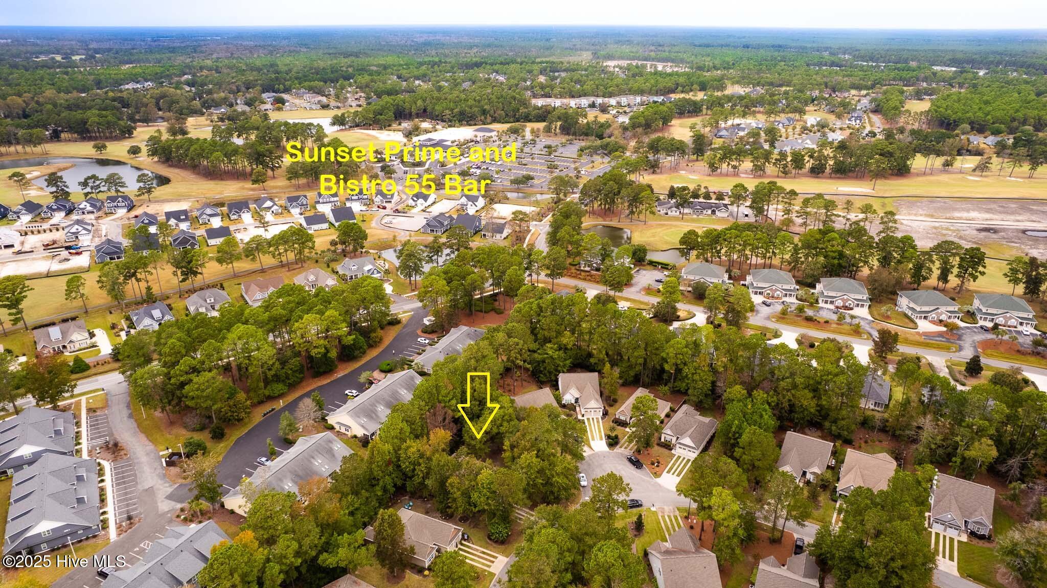 100540219 | Photo 36