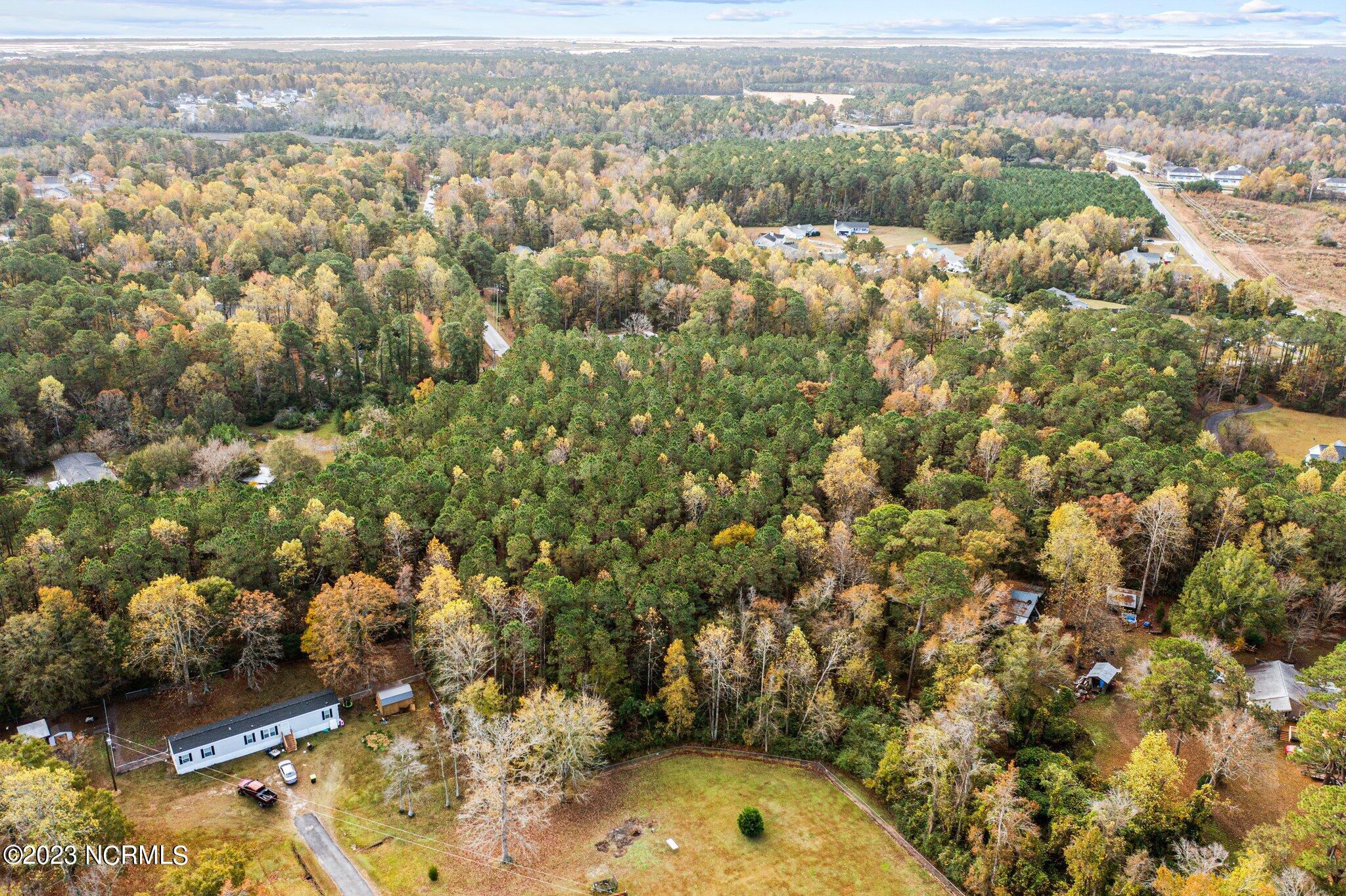 100415479 | Photo 14