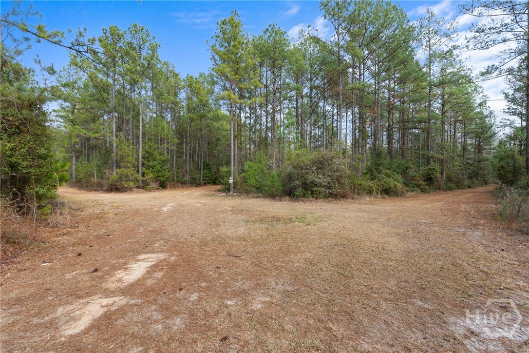 1000 Old River Road S, Brooklet, GA, 30415