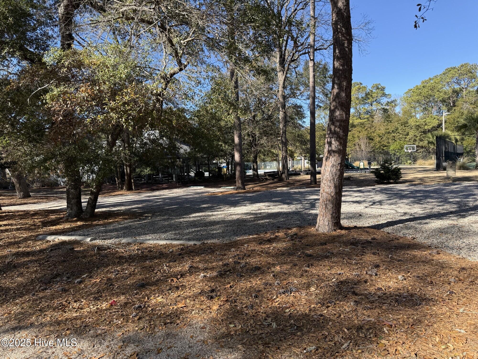 100546406 | Photo 16