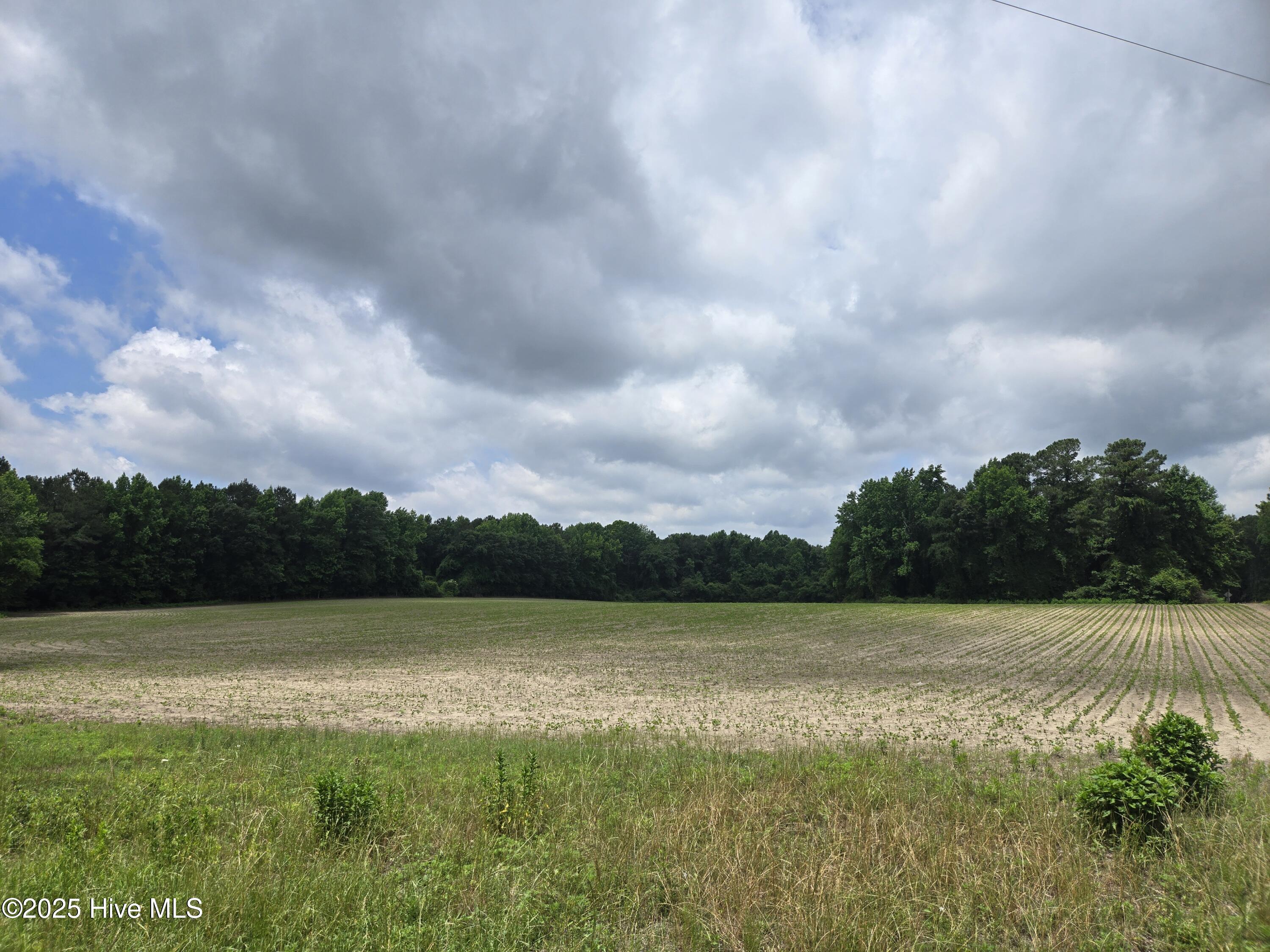 We are proud to offer this beautiful farm in the heart of Martin County, NC!  The tract has approximately 7 acres of highly productive farmland and 50 acres of 15 year old pine plantation.  Build your dream home and manage your timber investment in your back yard!  Nestled just south of the Roanoke River, you could also enjoy some of the best hunting eastern North Carolina has to offer!  Turkey and deer are abundant in these rolling, sandy hills.  Please call for an appointment today! Please note, the farm is currently being rented.  Current lease will be maintained by new owner through the end of 2025.