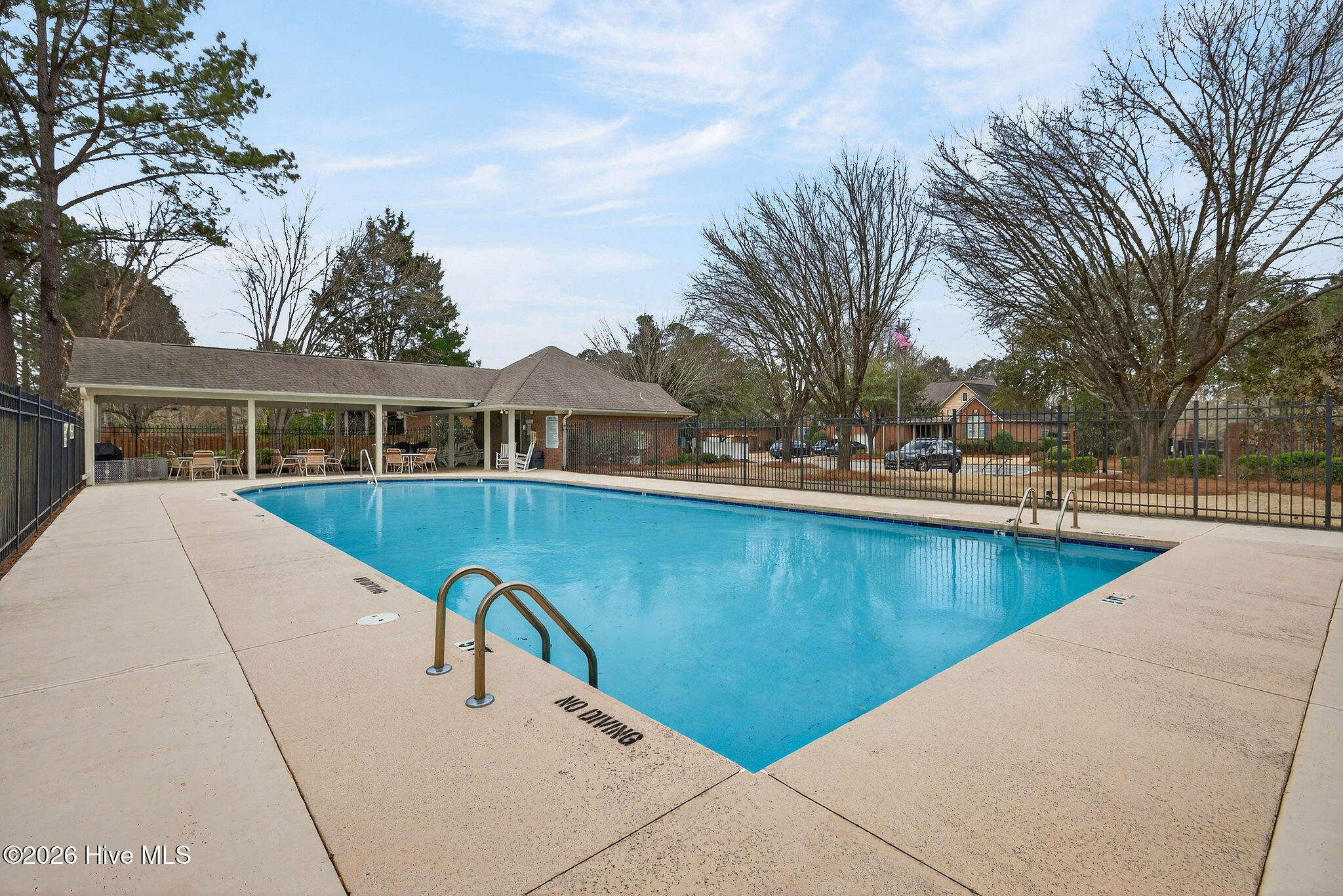 100557092 | Photo 56